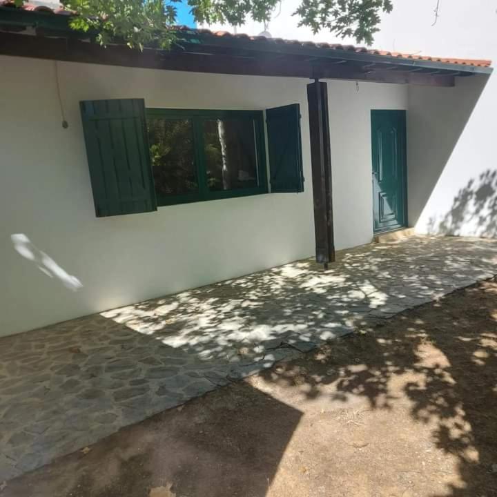 Photo 25