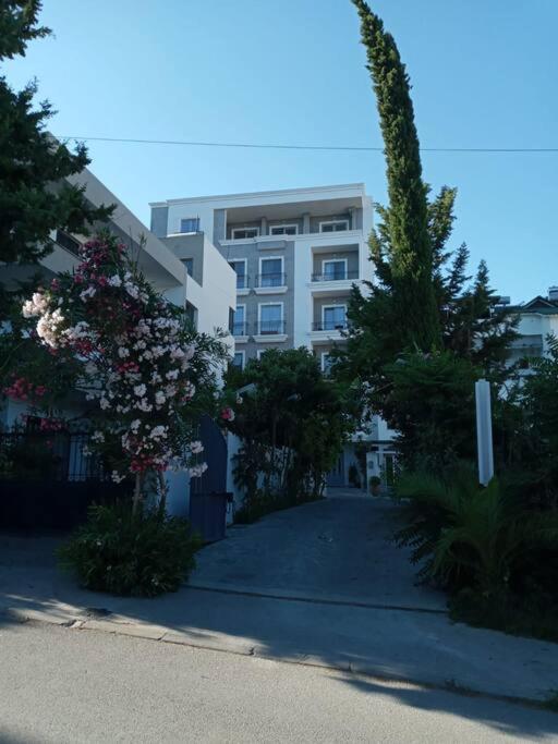 Solen Apartments 2 photo 1