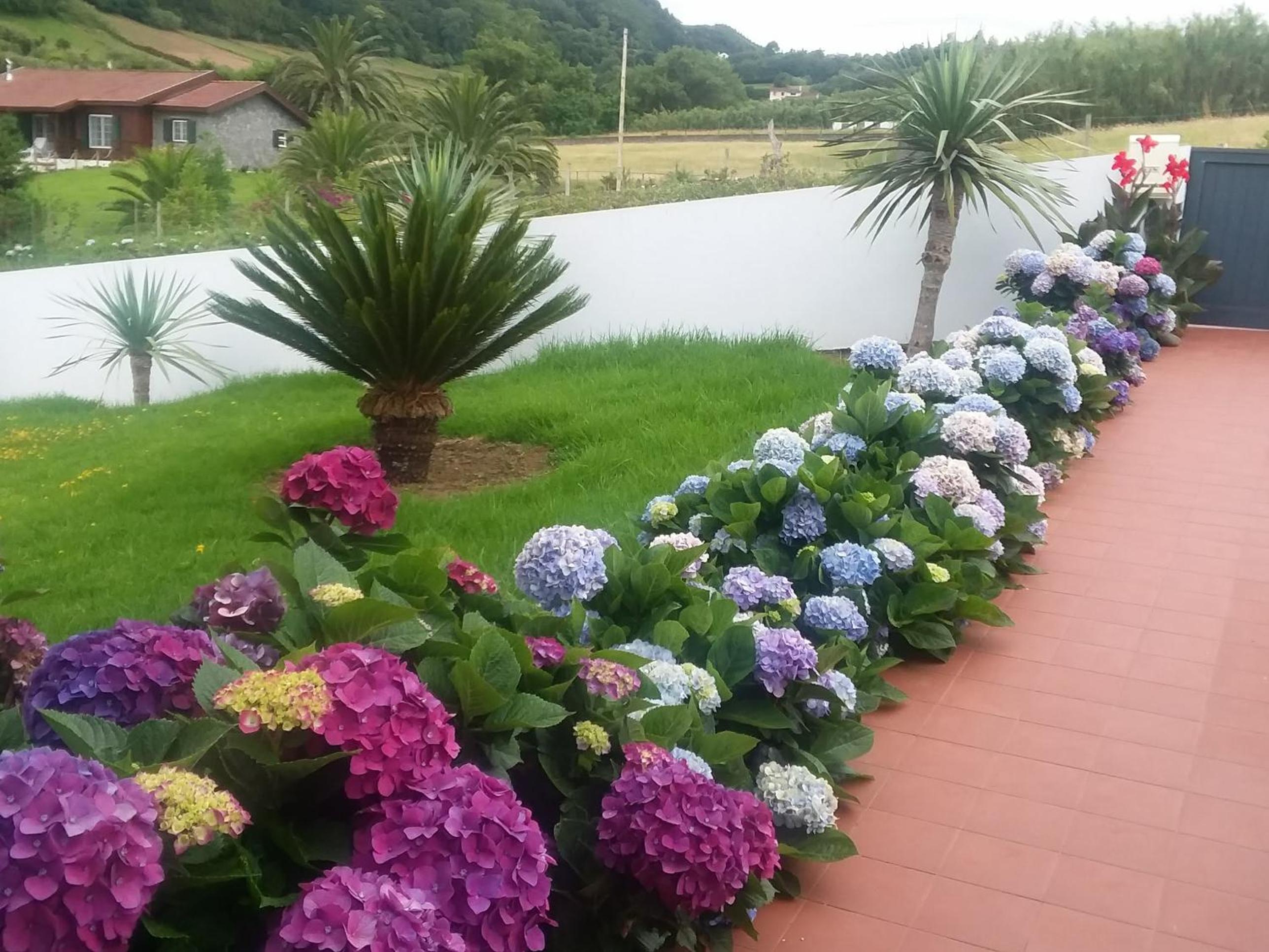 Azores, Faial , Horta, Vacation Beach Front Home, First & Second Floor for rent separately view 2
