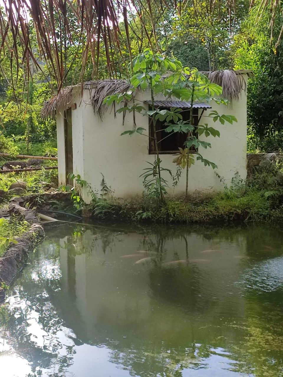 Hostal Amaní