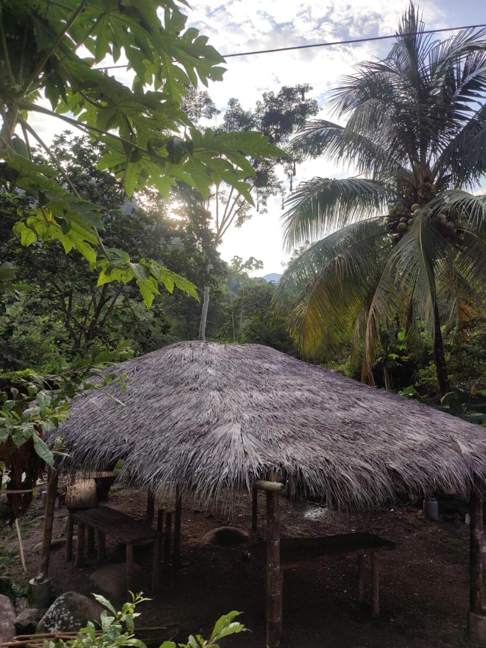 Hostal Amaní