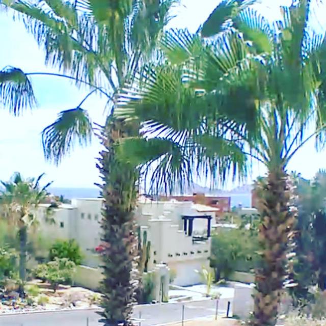 Photo 47