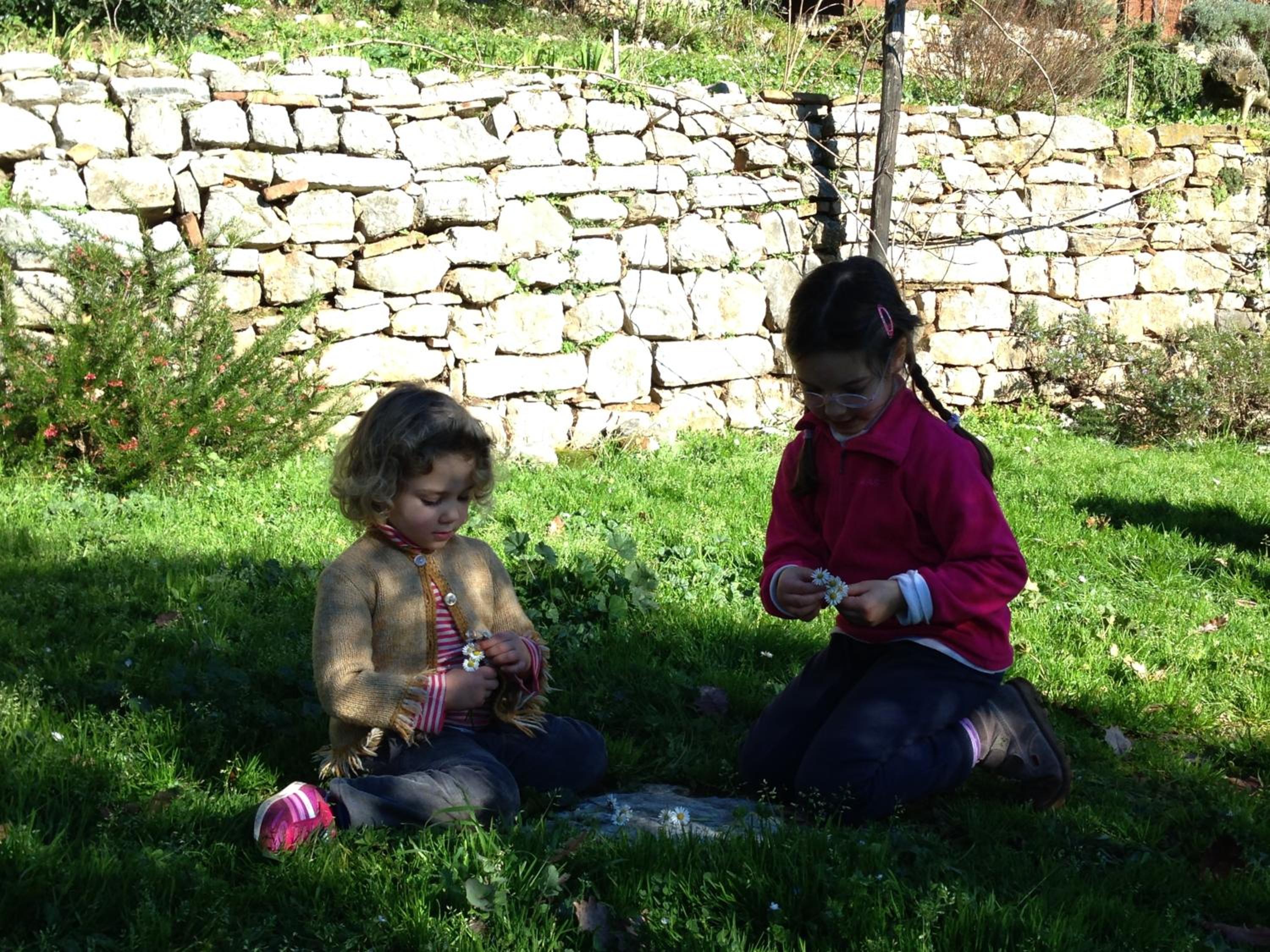 Photo 41