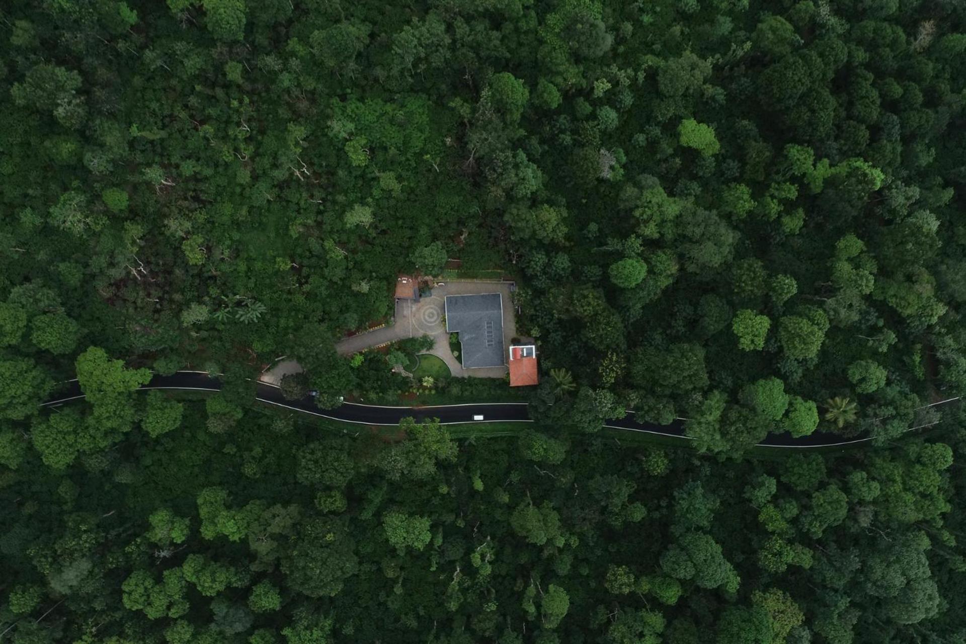 The Haven Grandeur - Luxury Villa in Coorg with Breakfast