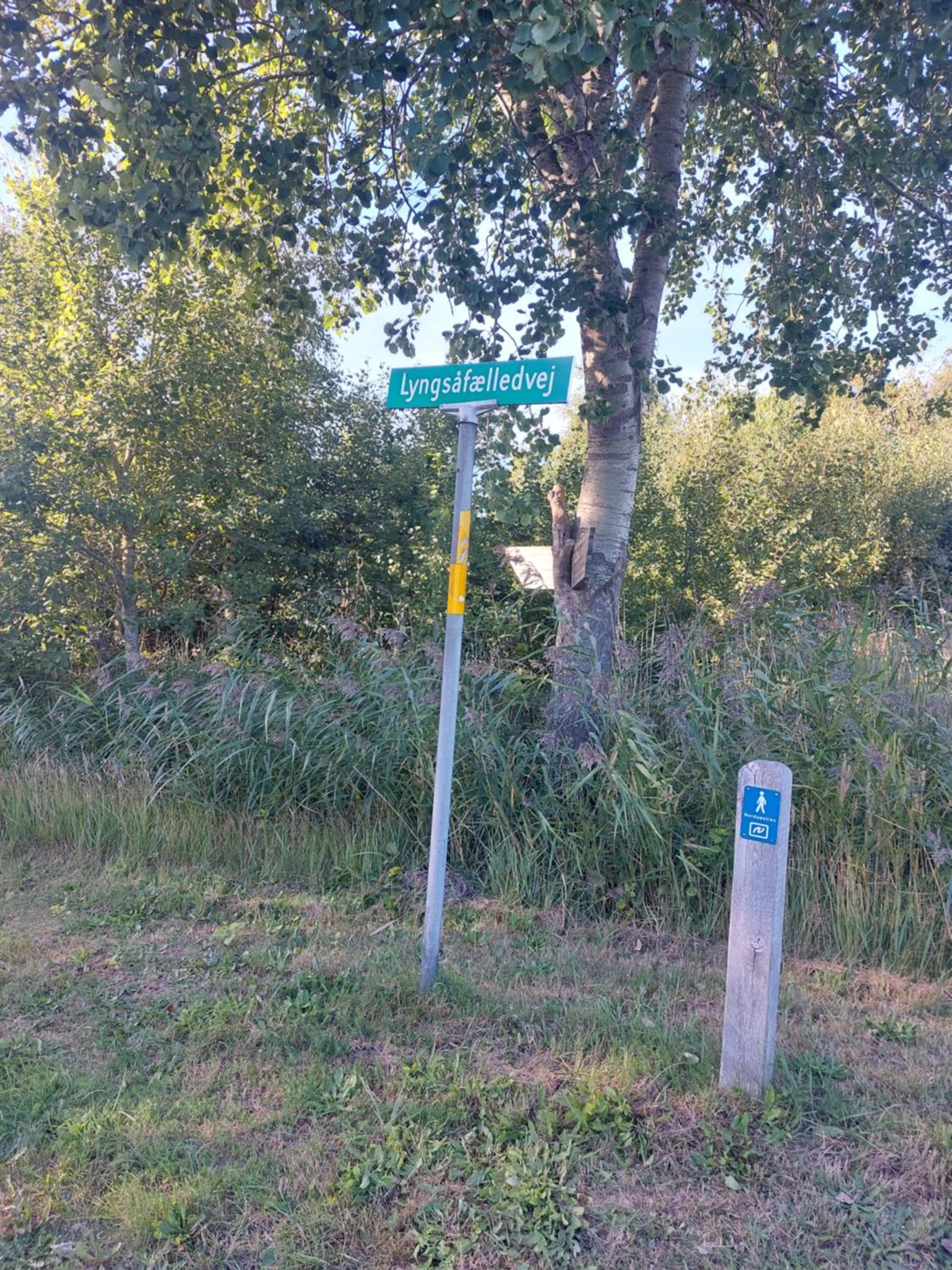 Photo 41