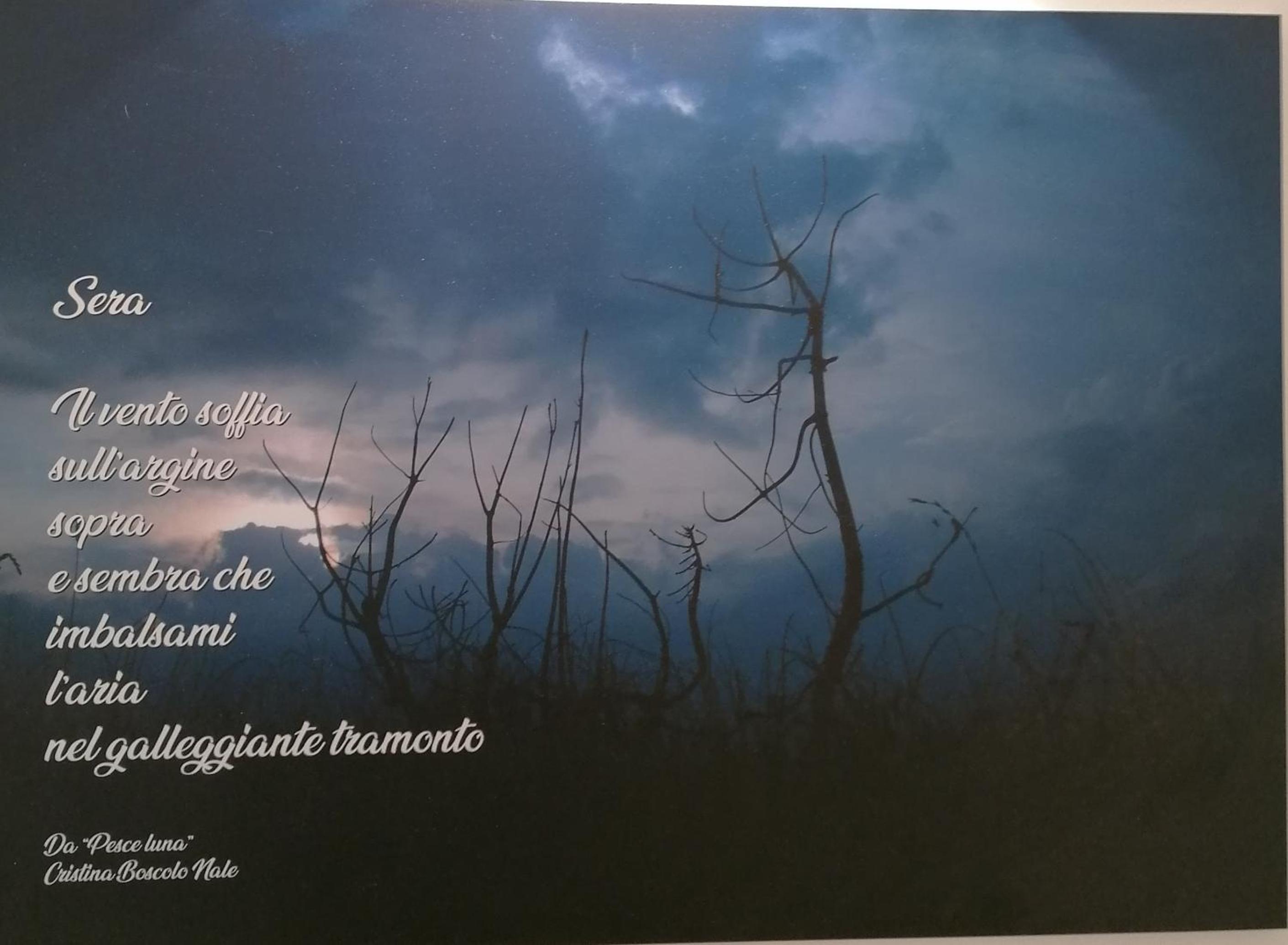 VERDEPOESIA