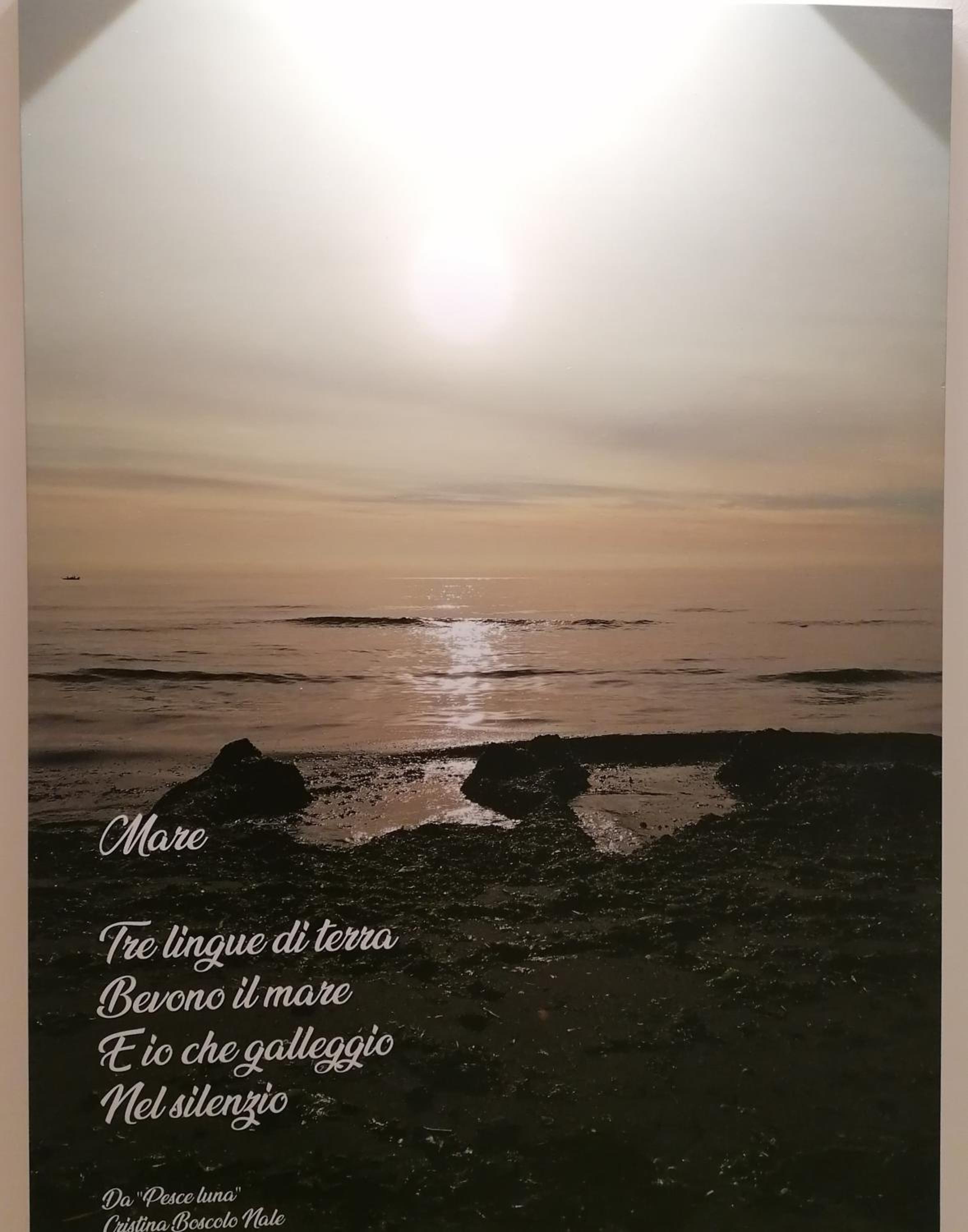 VERDEPOESIA