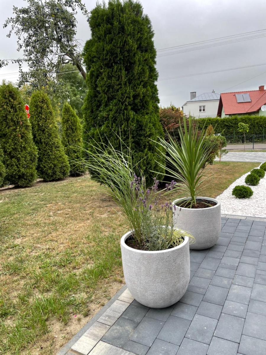 Photo 36