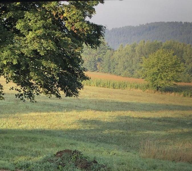 Ferienwohnung Sonnenhof