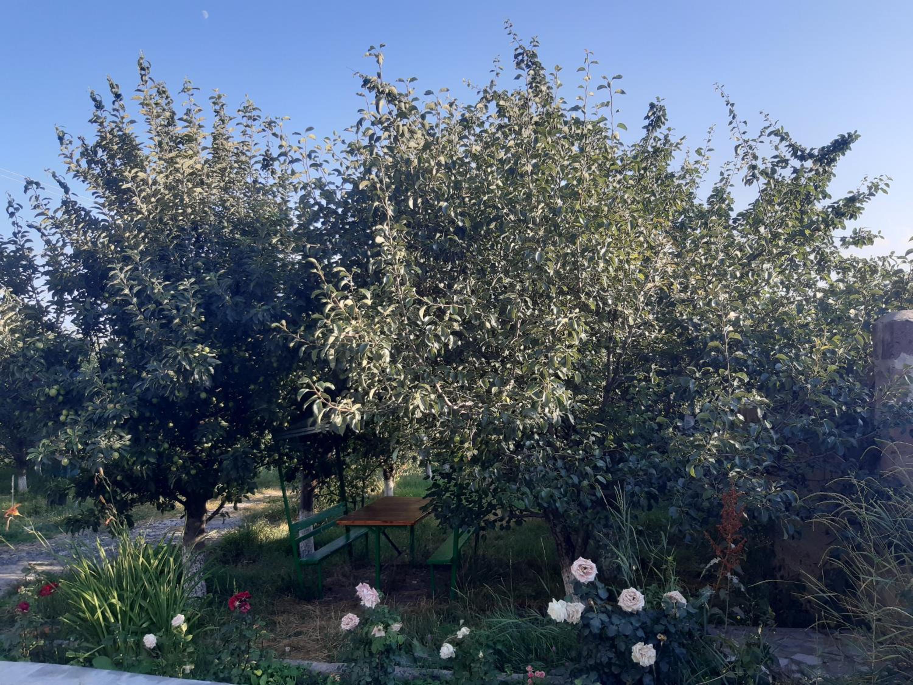 Guest House Sevan