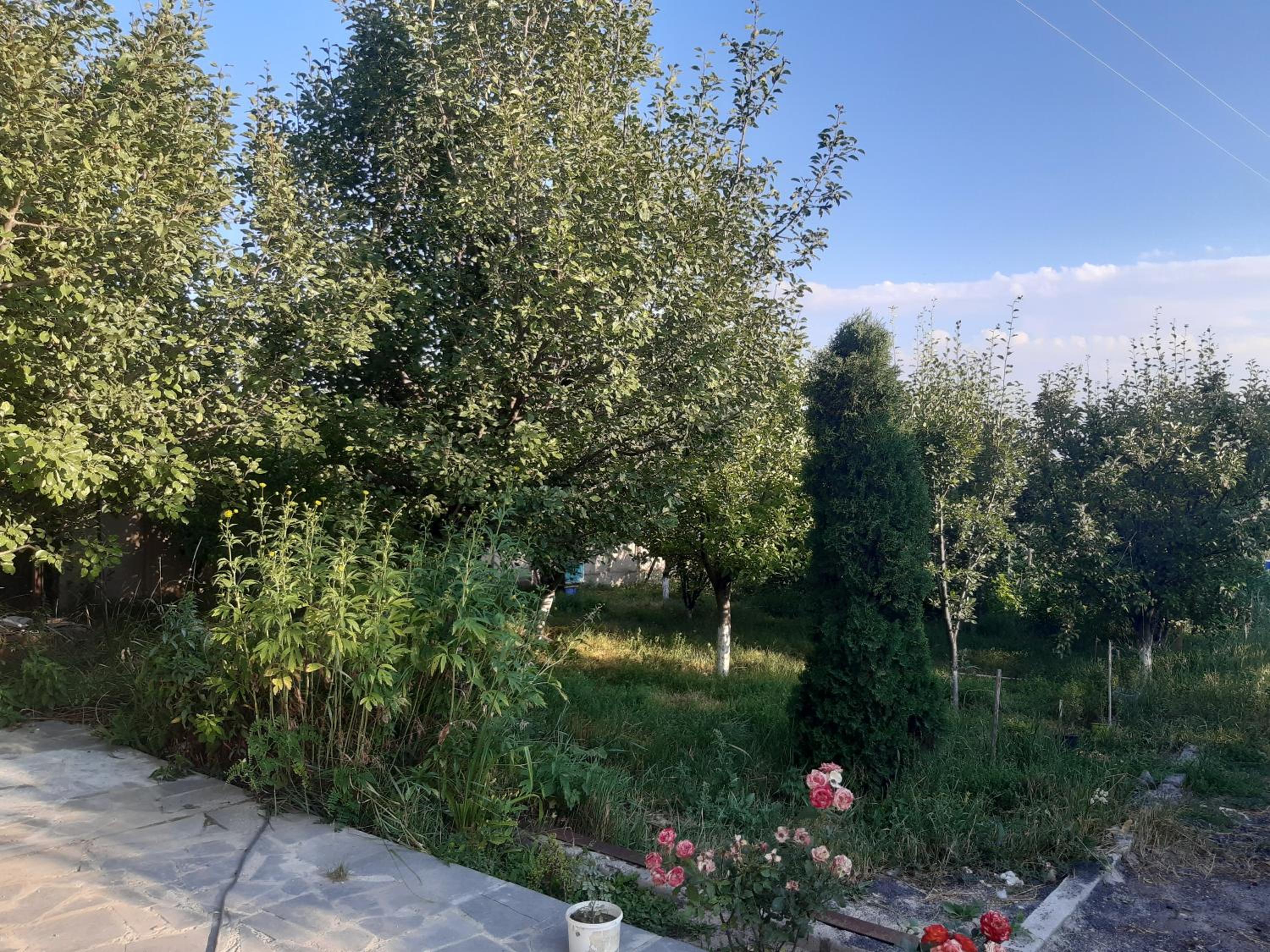 Guest House Sevan
