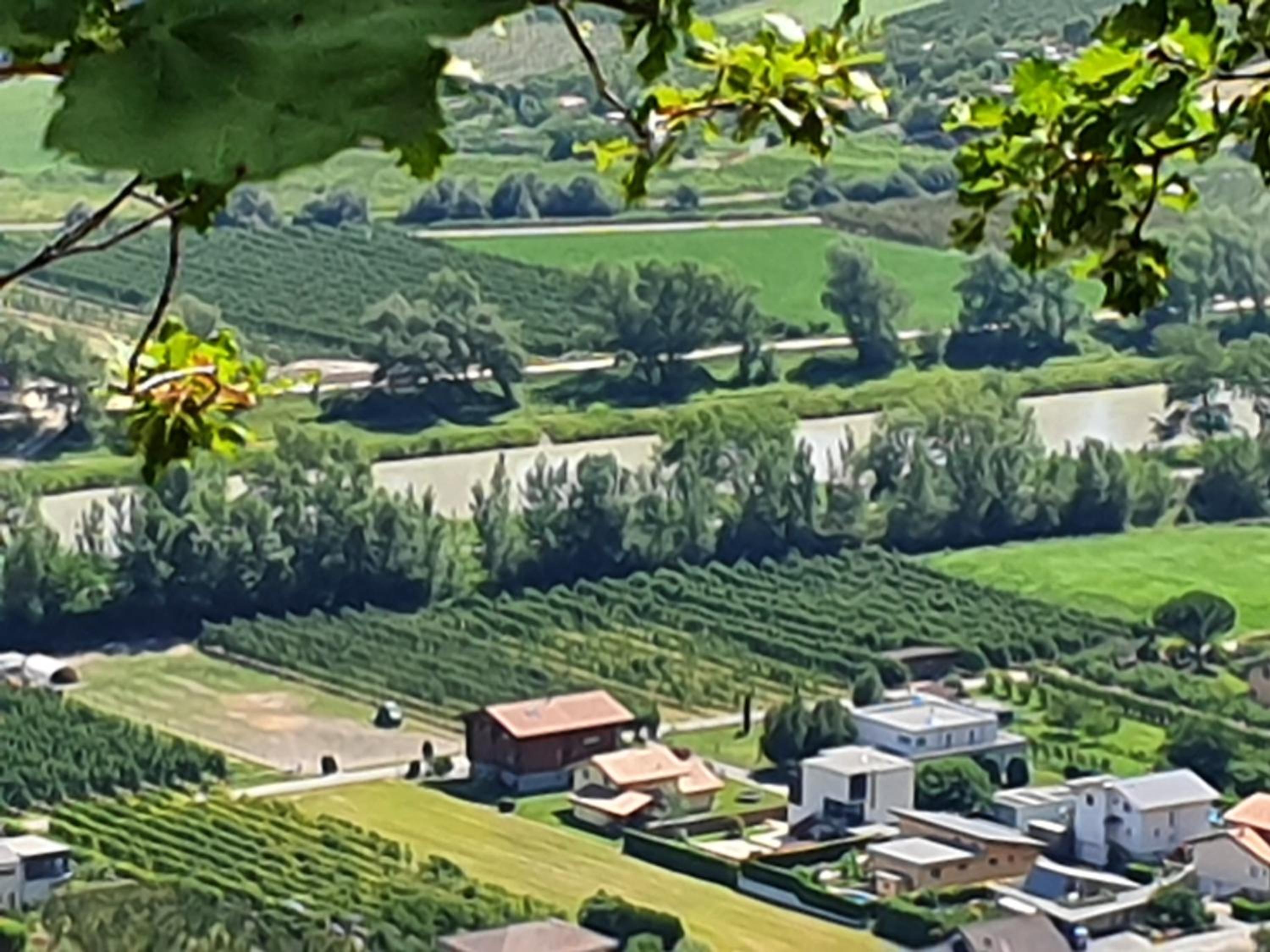 La Terrasse