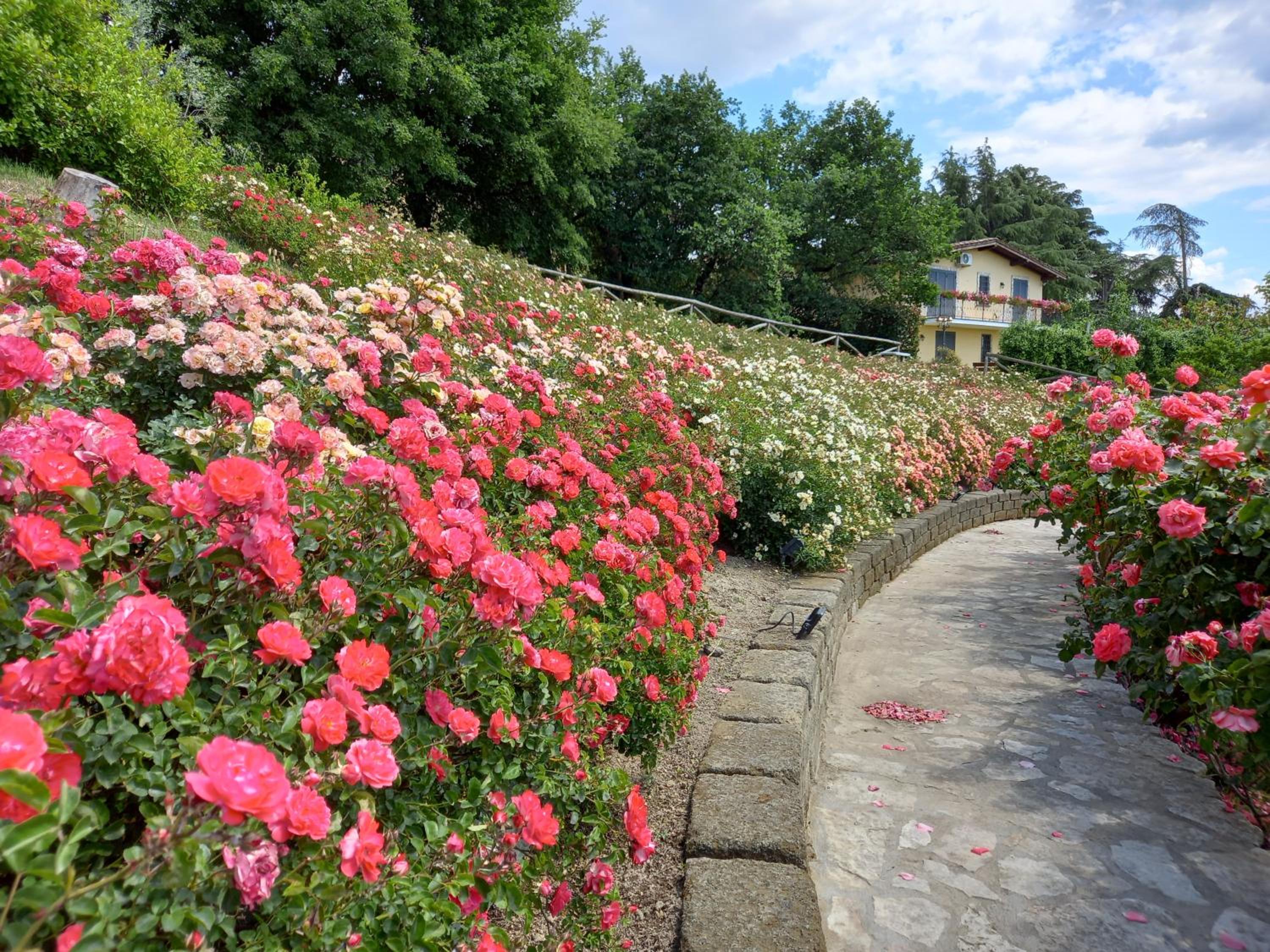 angolo di paradiso