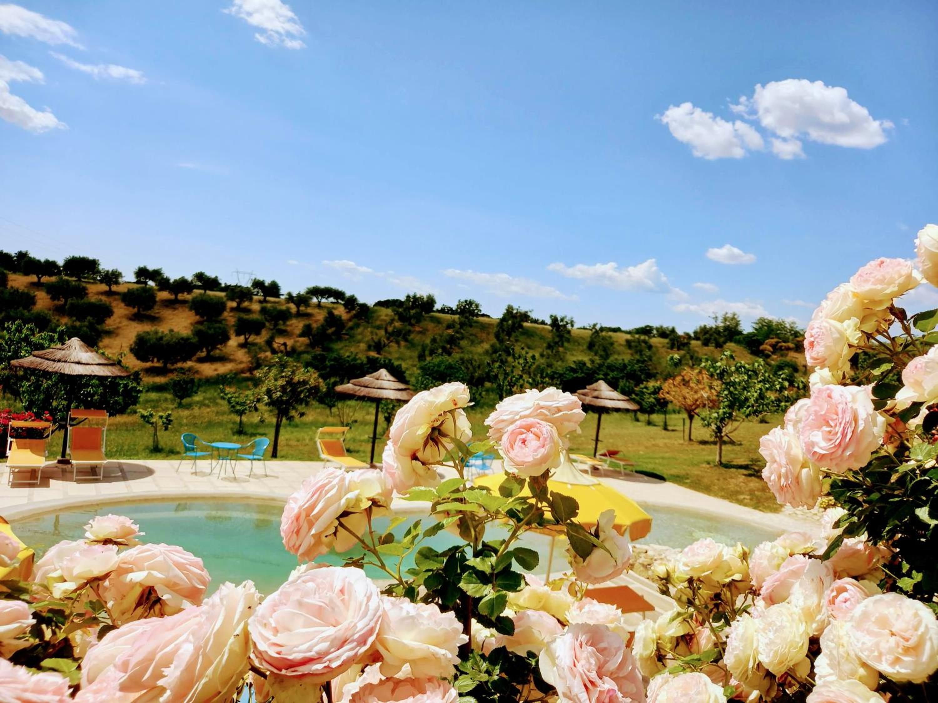 angolo di paradiso
