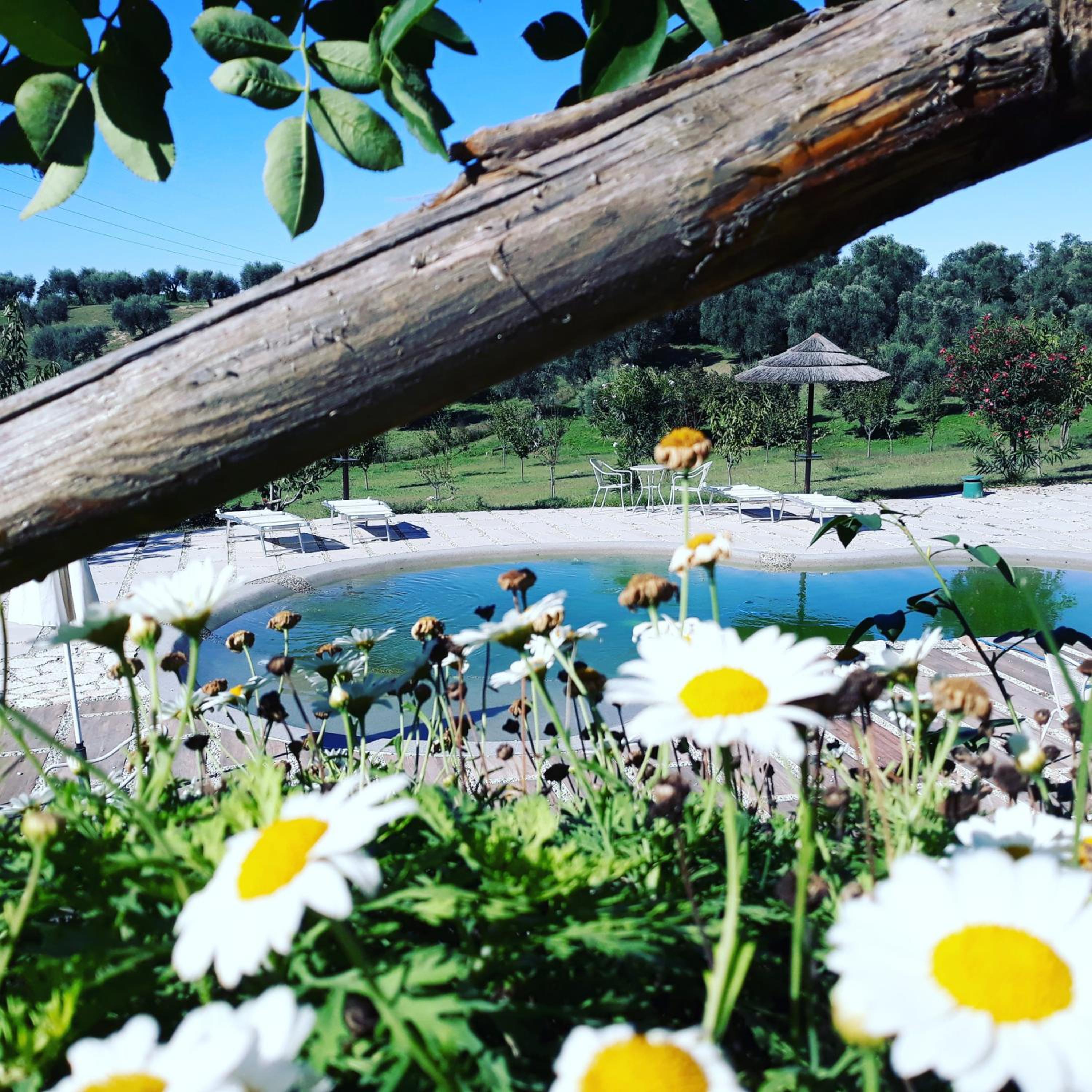 angolo di paradiso