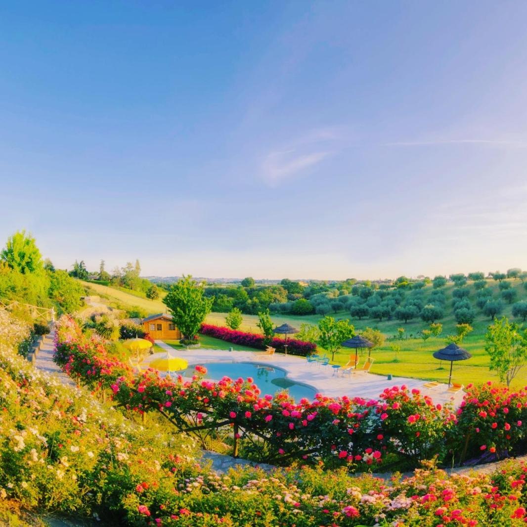 angolo di paradiso