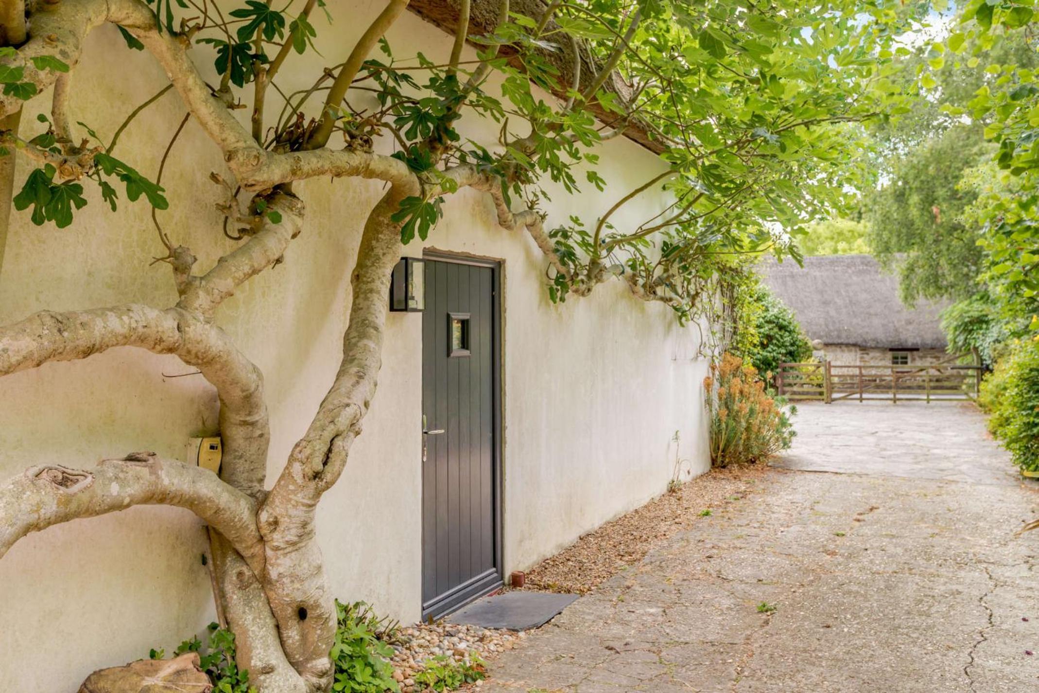 Little Thatch Lovely 2-Bed Converted Workshop Near Weymouth view 2