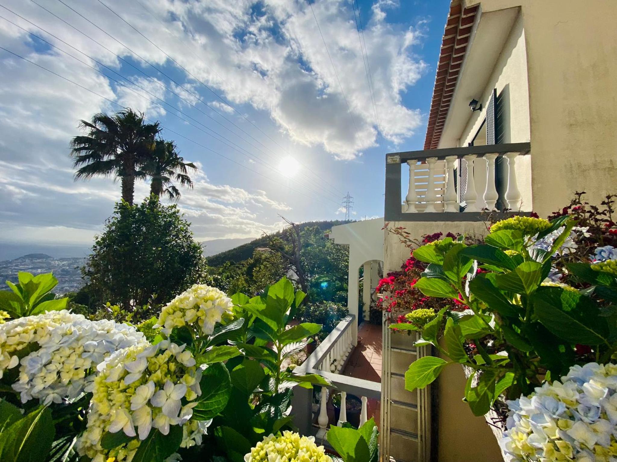 Villa Paraiso - Traumgarten, Meerblick, Wandern und Golf view 5