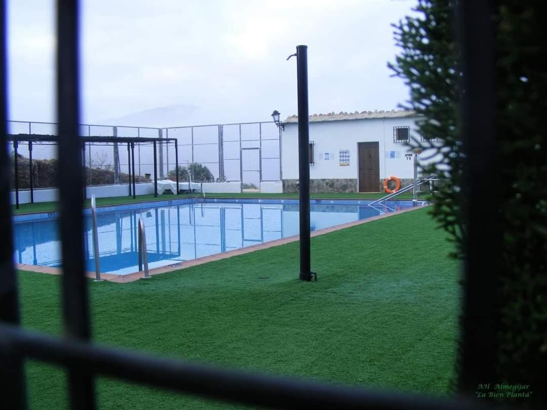 Casa los Lagartos