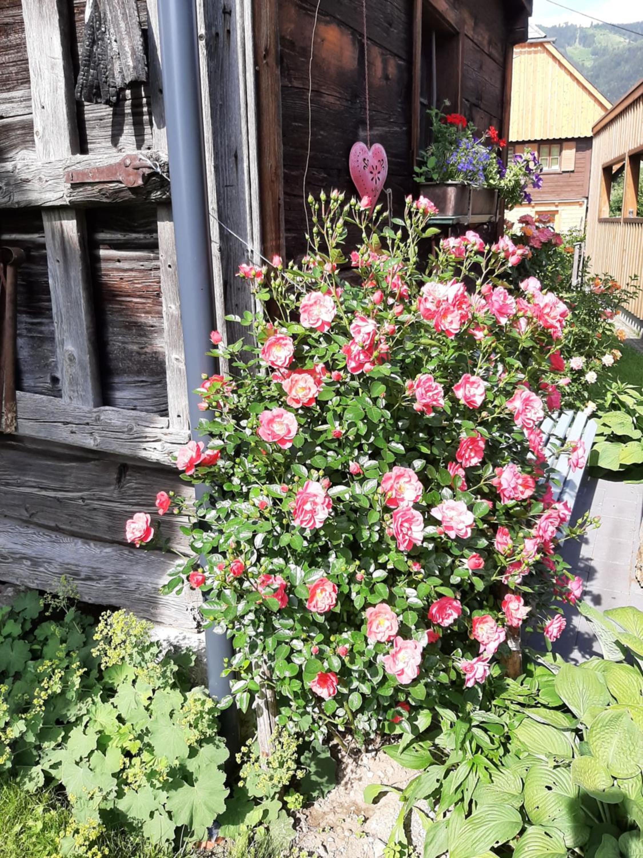 Landhaus Tippl
