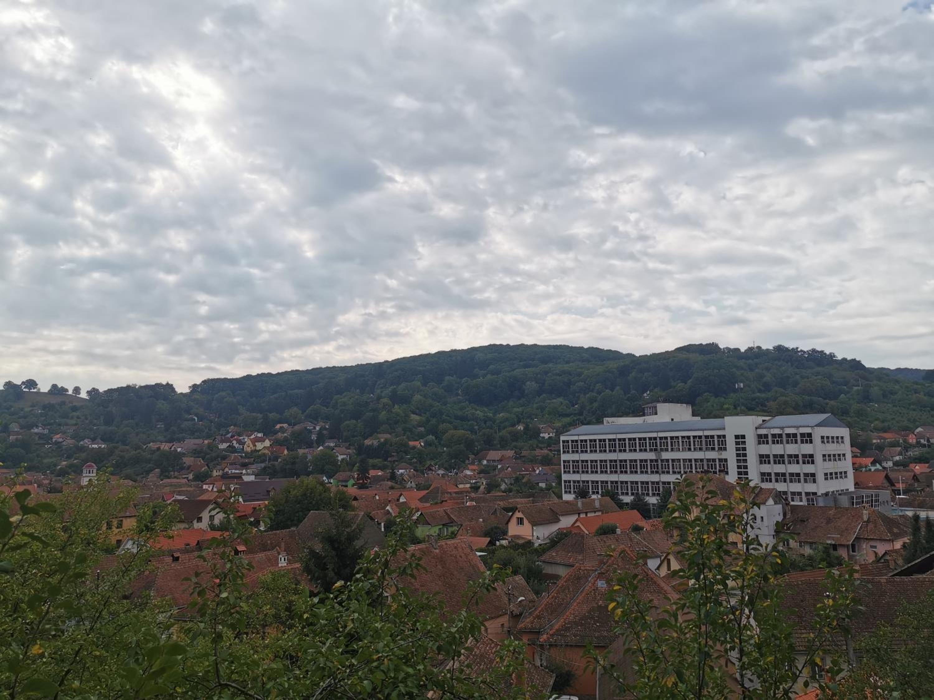 Photo 144