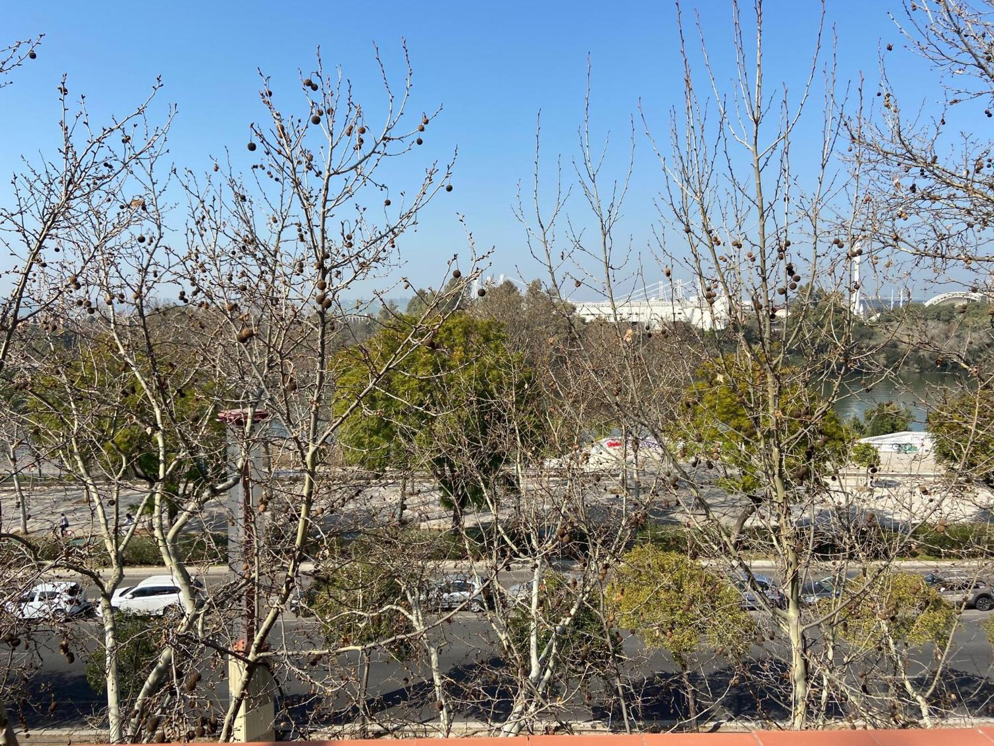 Photo 108