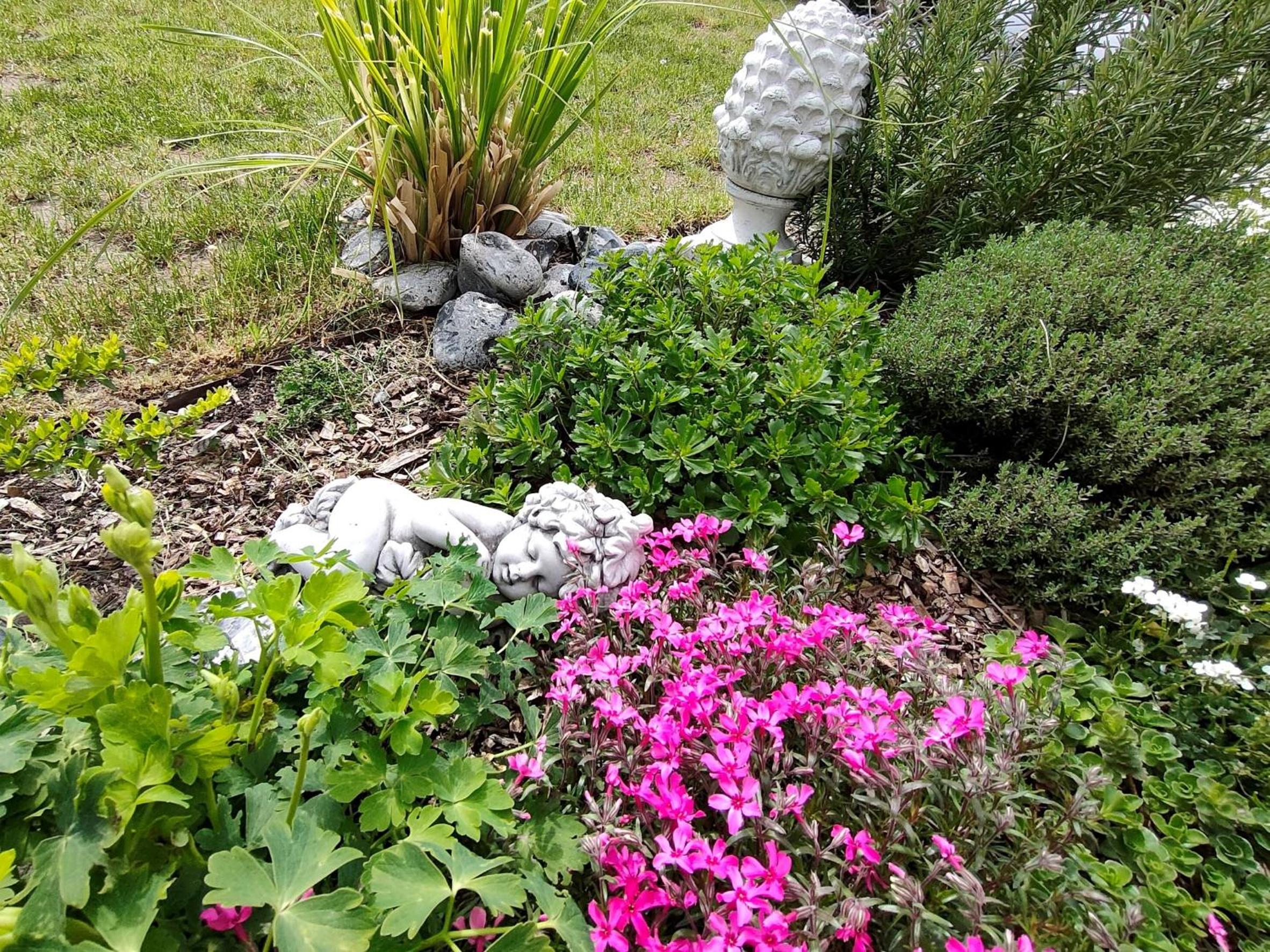 Photo 49