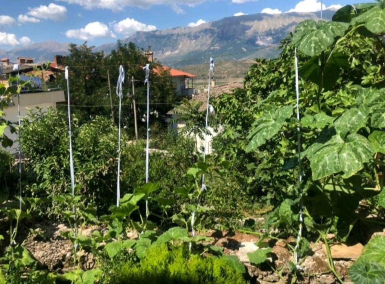 MiziriGuestHouse
