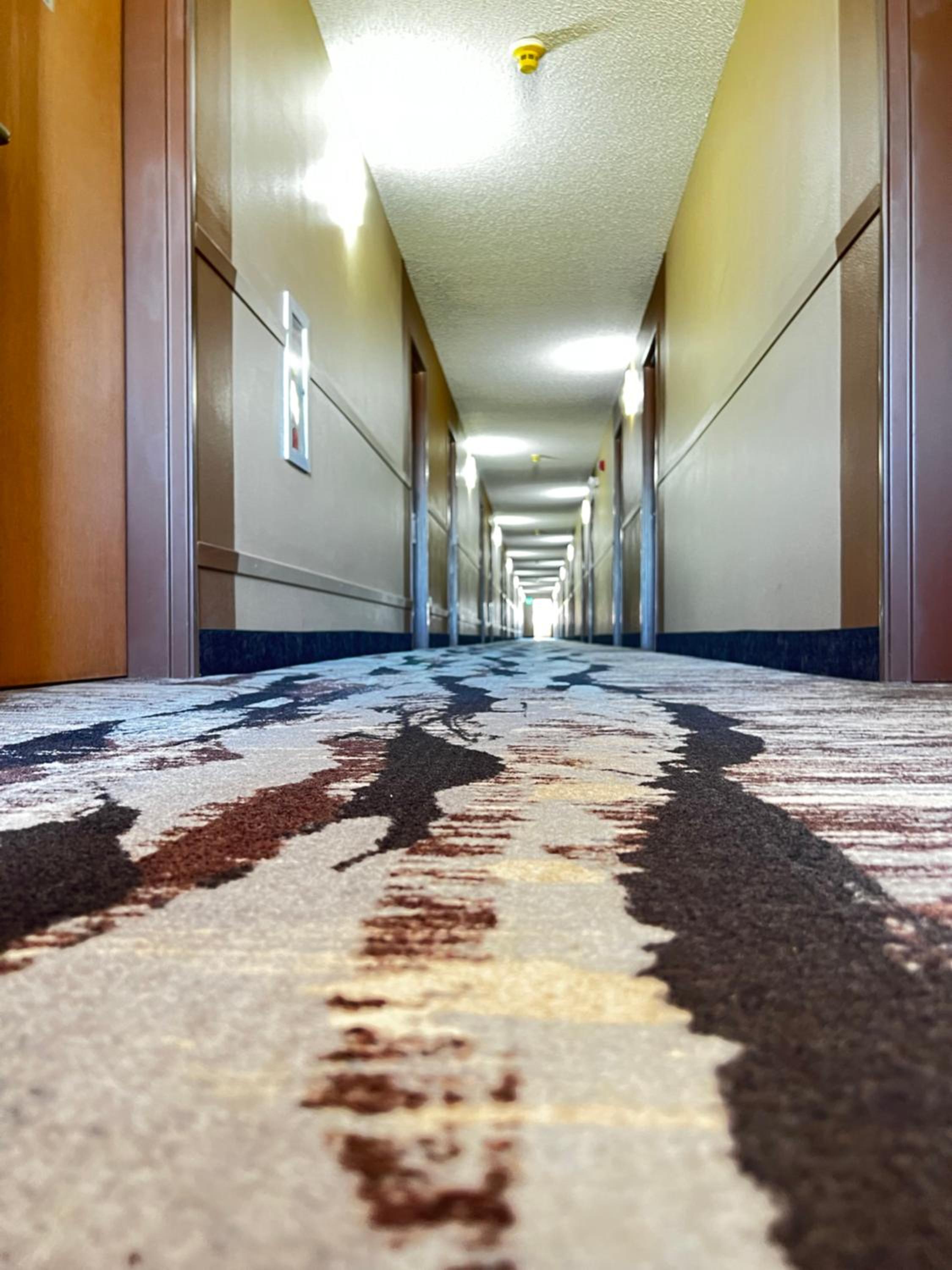 Designer Inn and Suites
