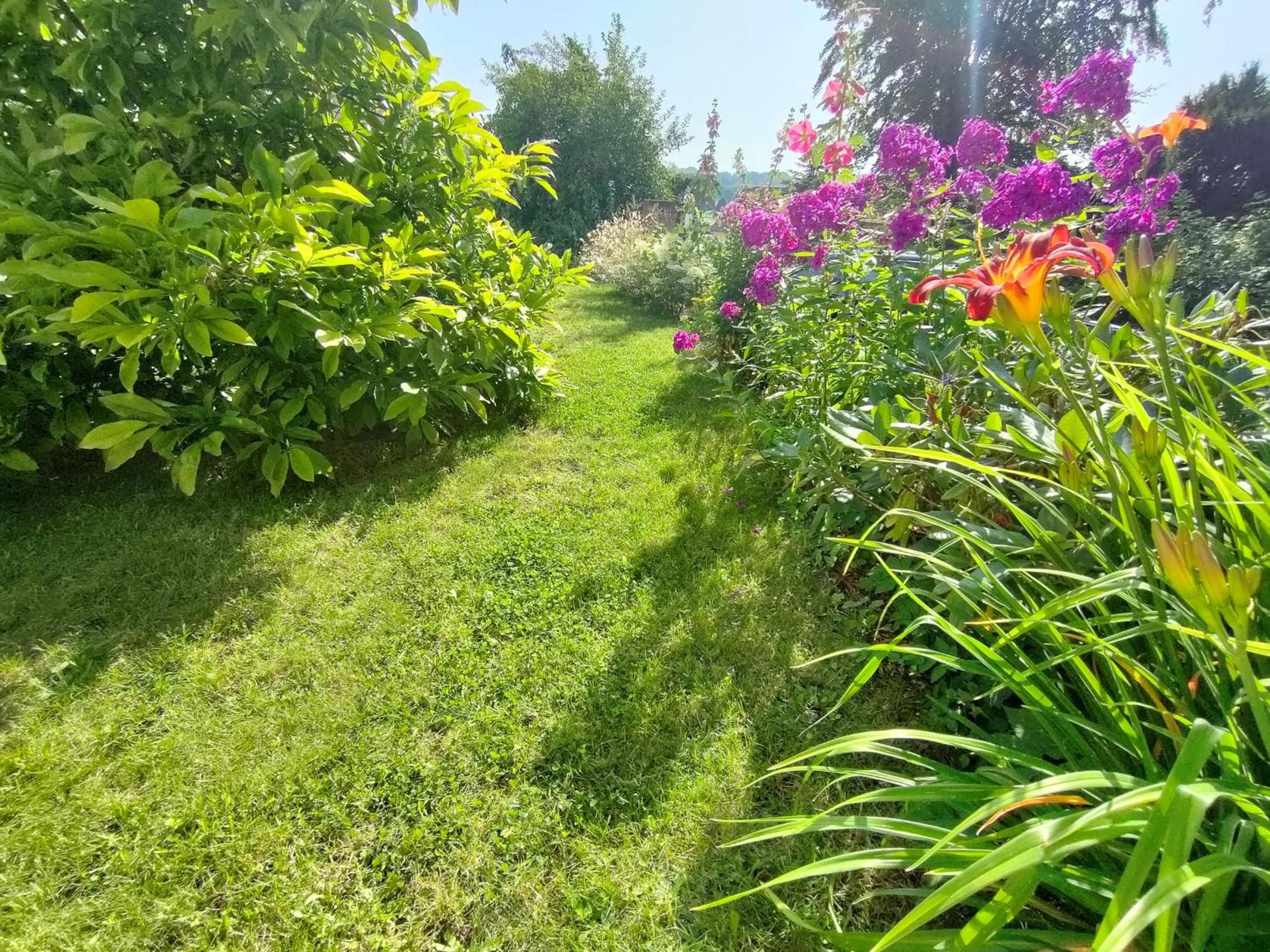 Photo 26