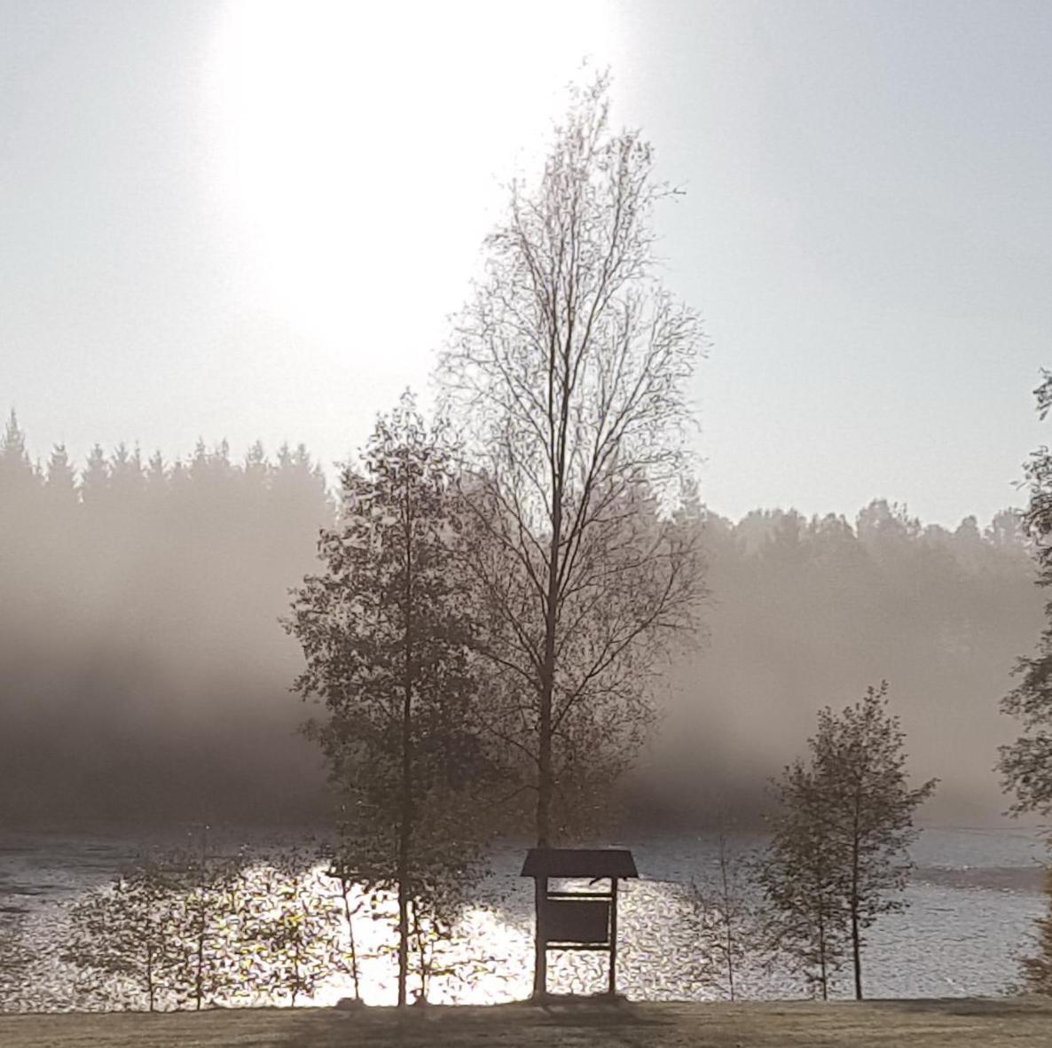 Waldsee