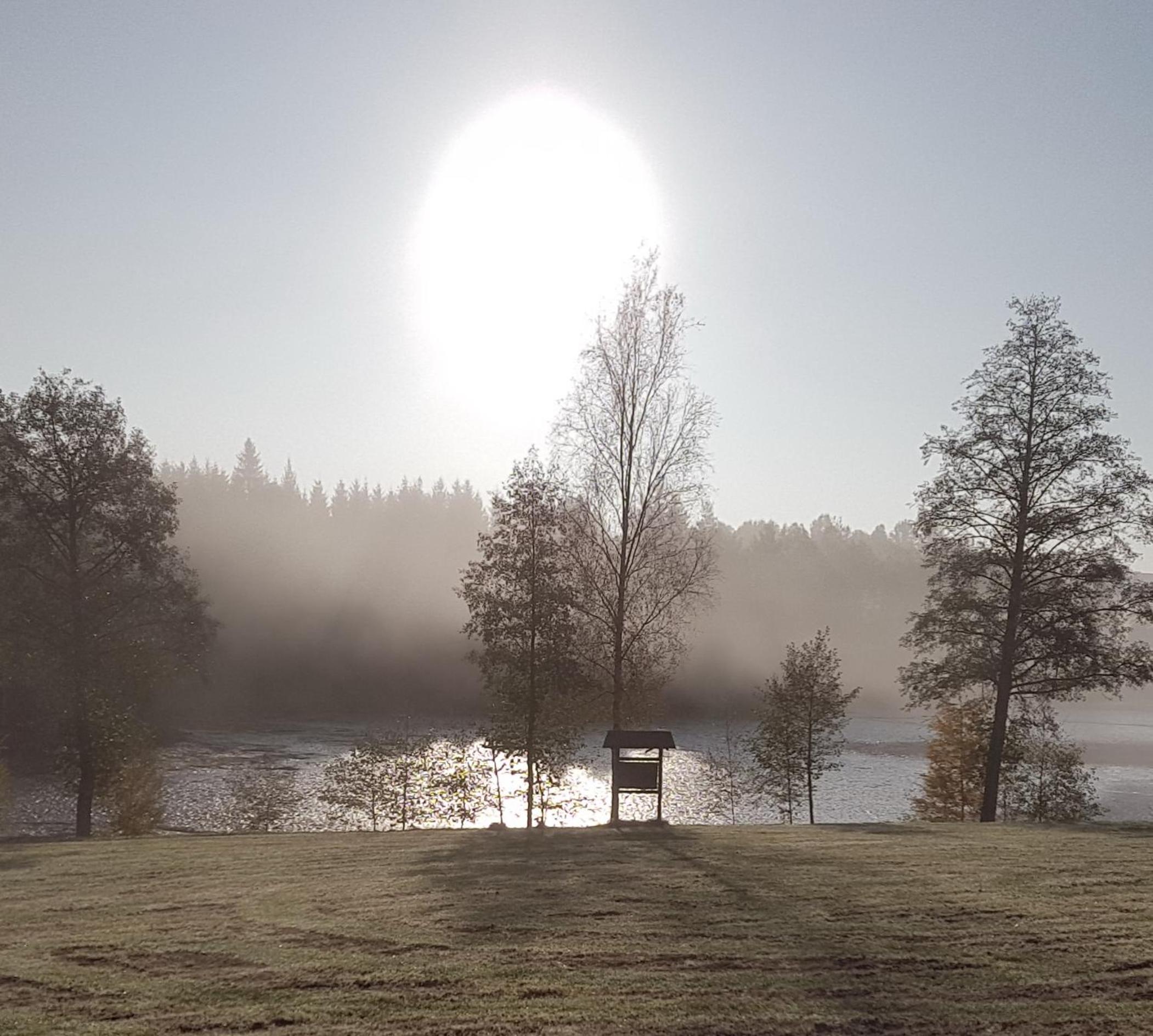 Waldsee