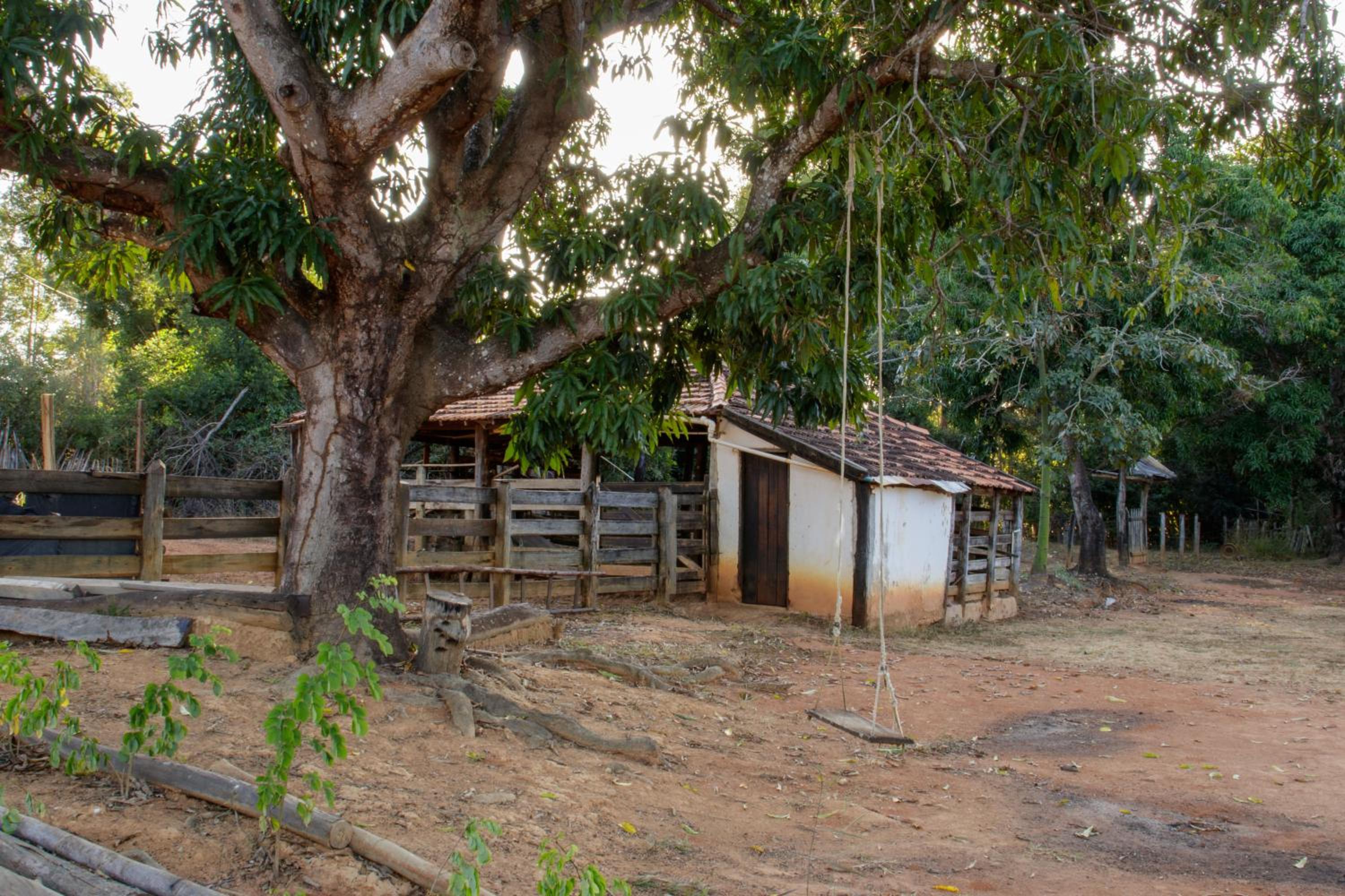 Fazendinha Rústica com Piscina Próxima a Curvelo