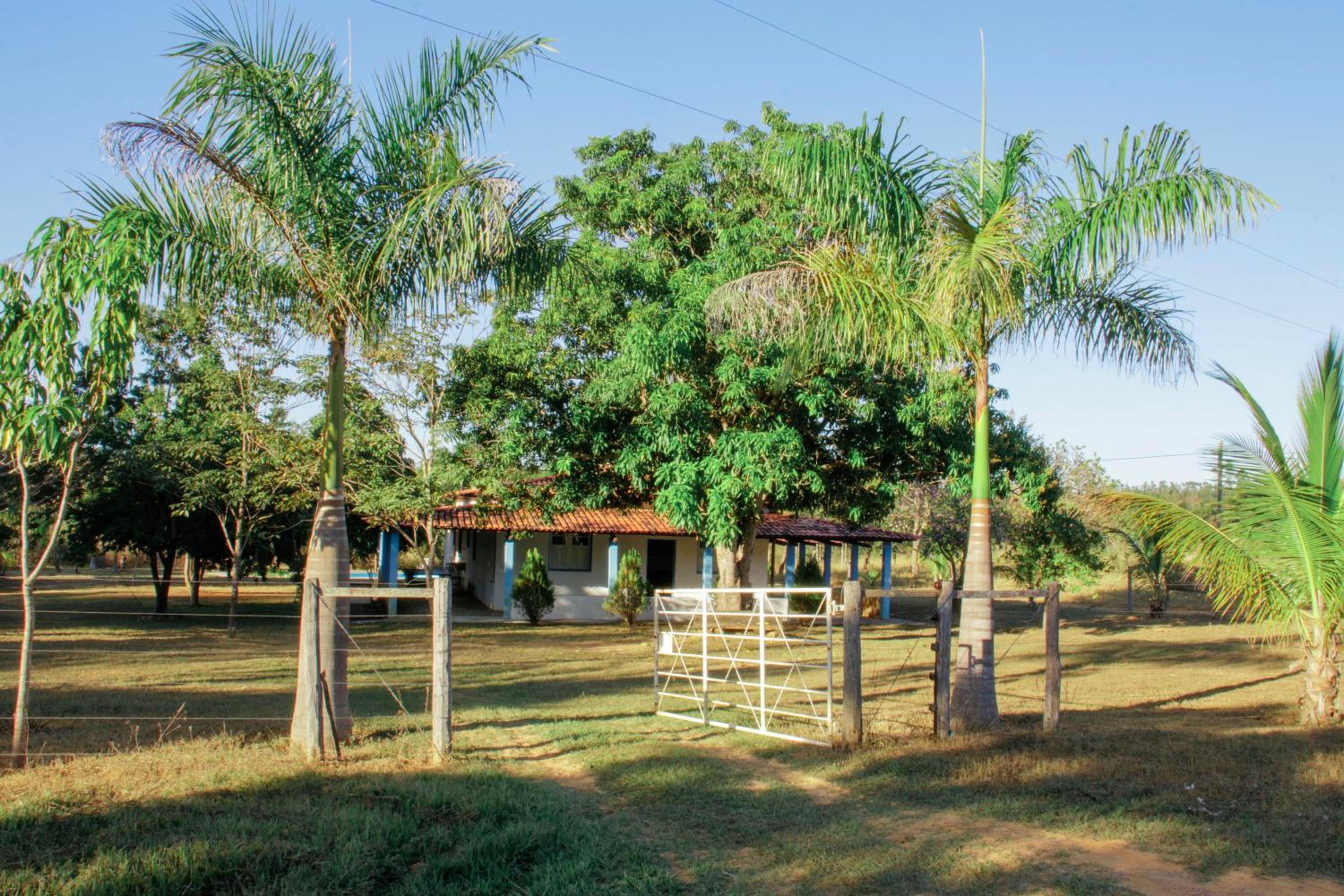 Fazendinha Rústica com Piscina Próxima a Curvelo