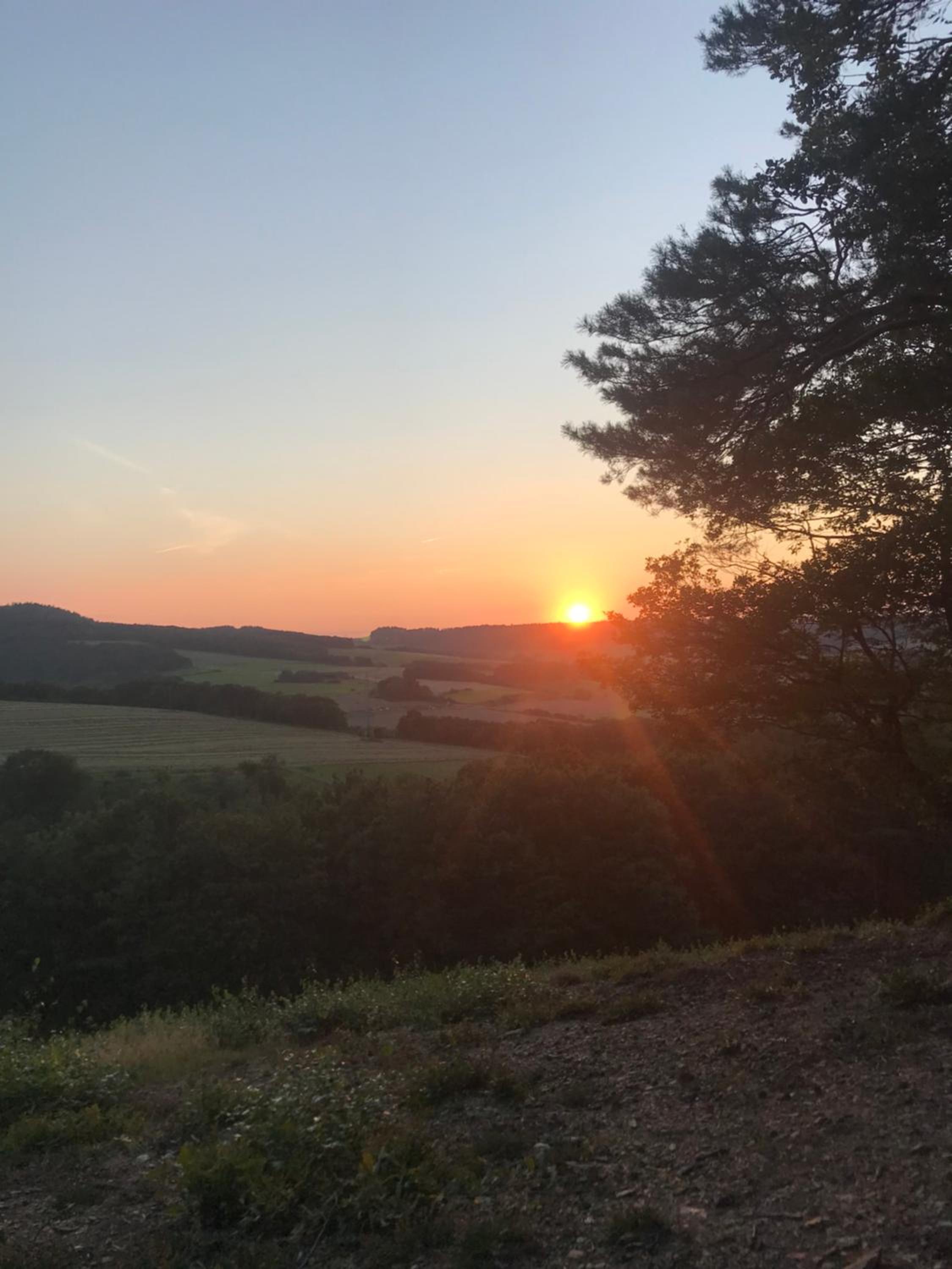 RechHof Urlaub bei Tieren