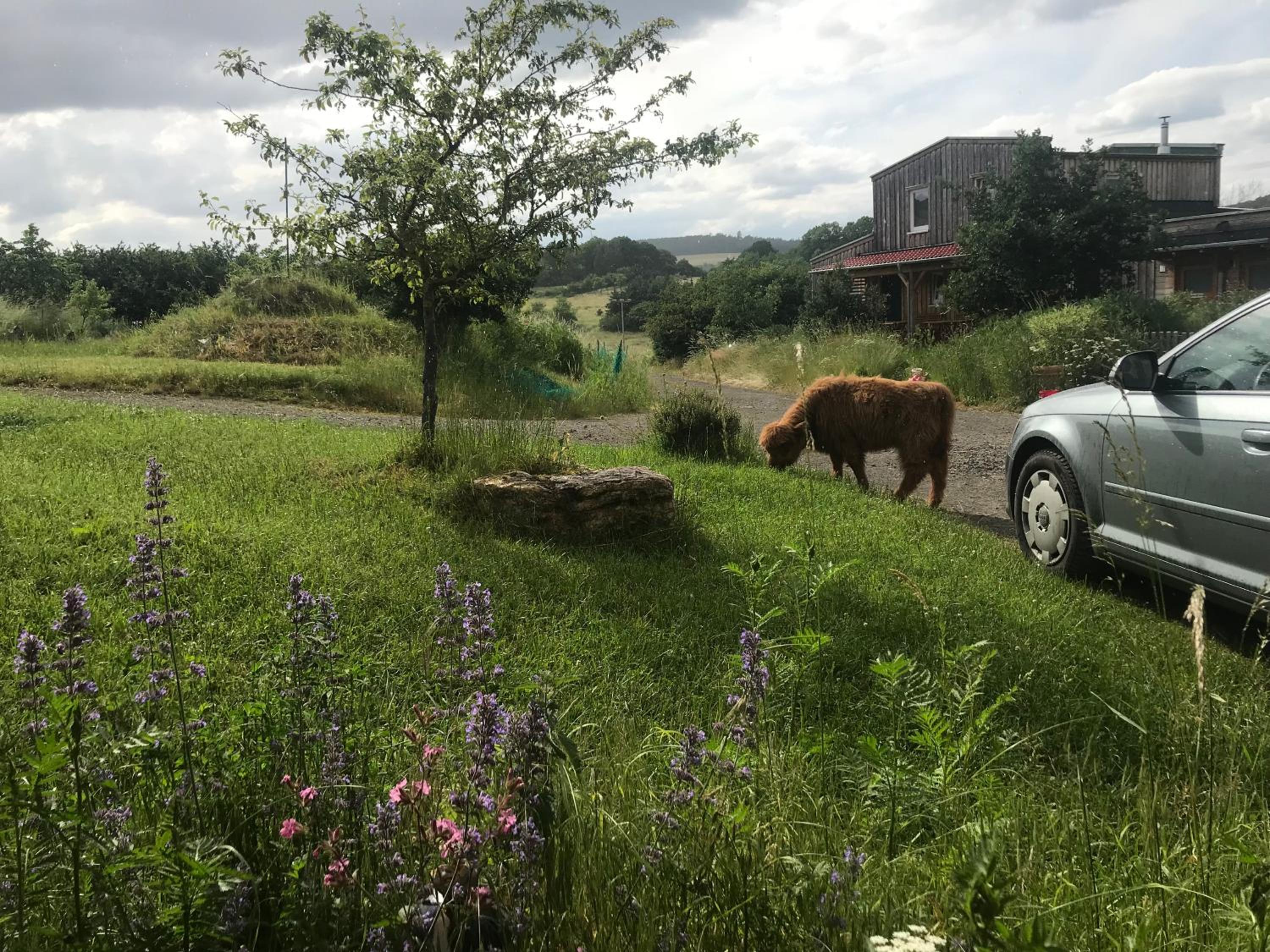 RechHof Urlaub bei Tieren