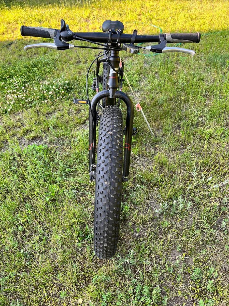 Photo 12