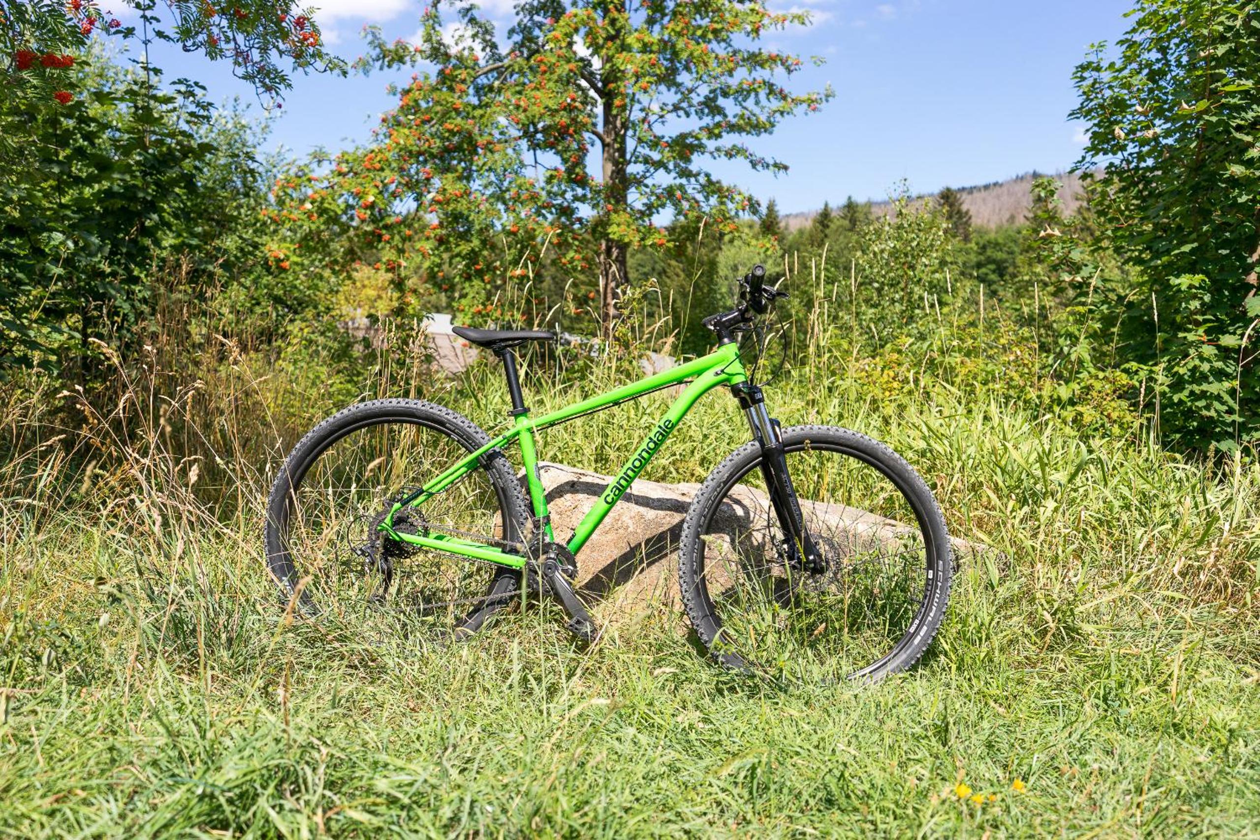 Ferienanlage Zum Wildbach Schierke