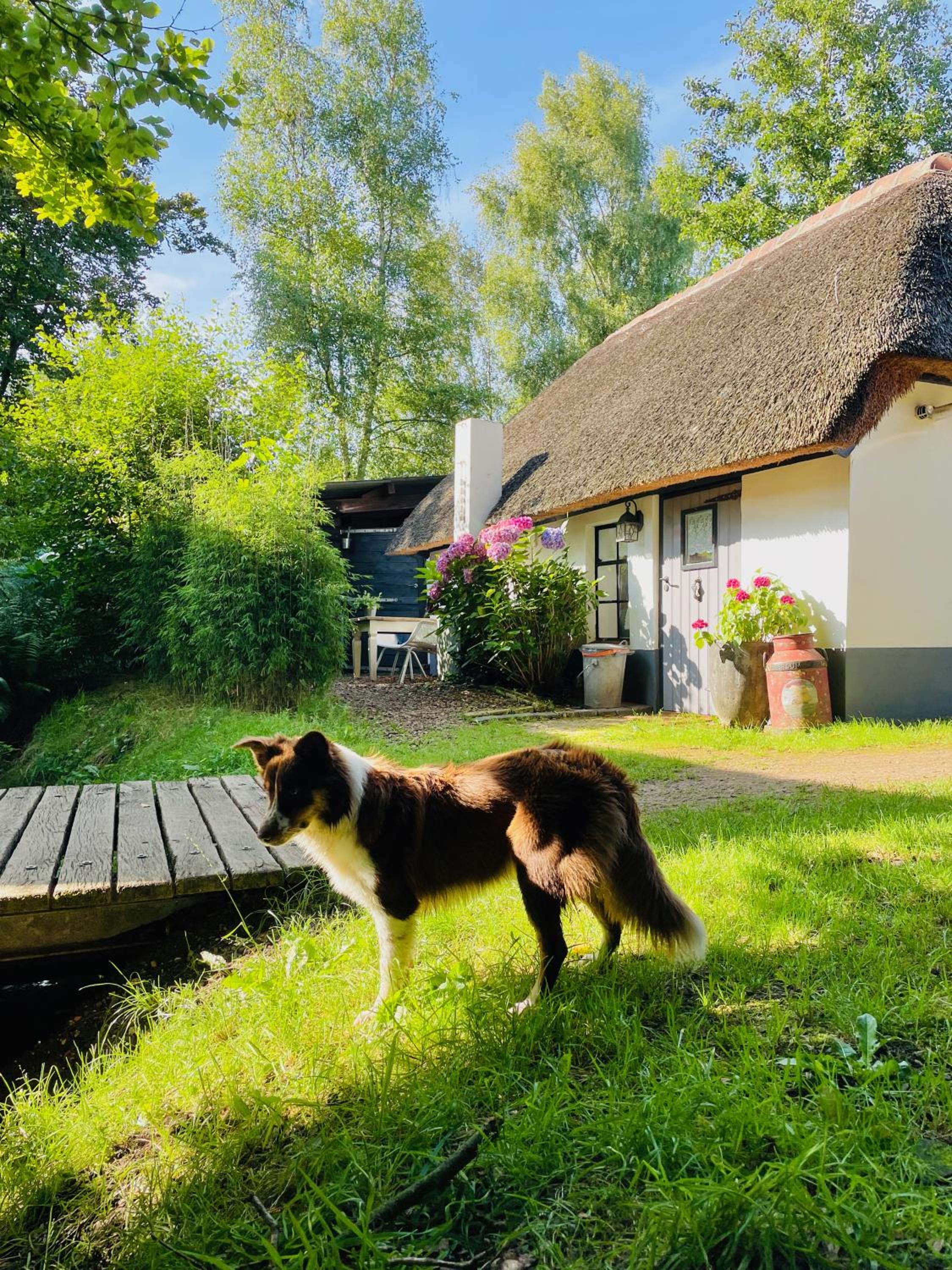 Bakhuisje op de Veluwe view 4