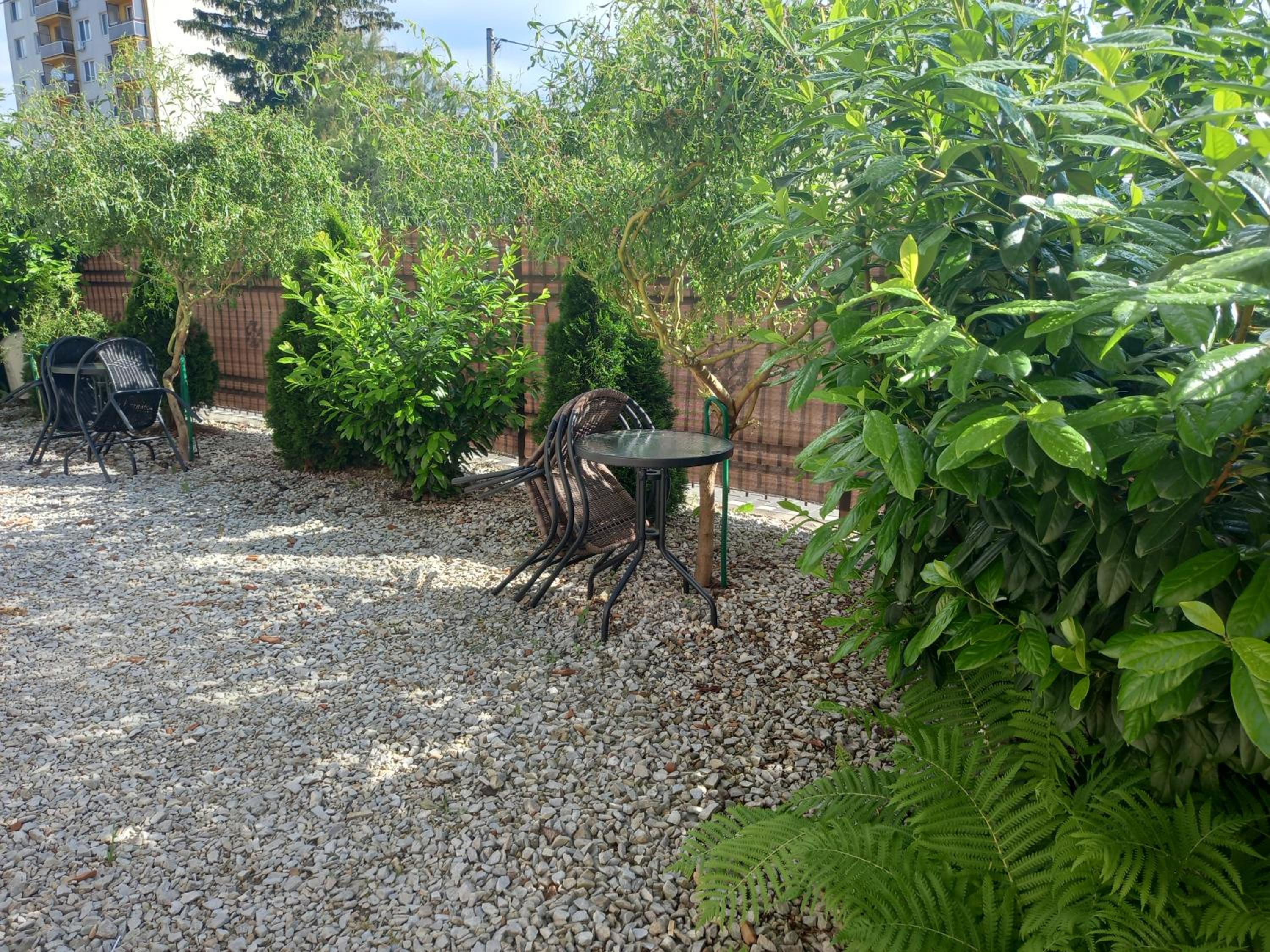 Photo 31