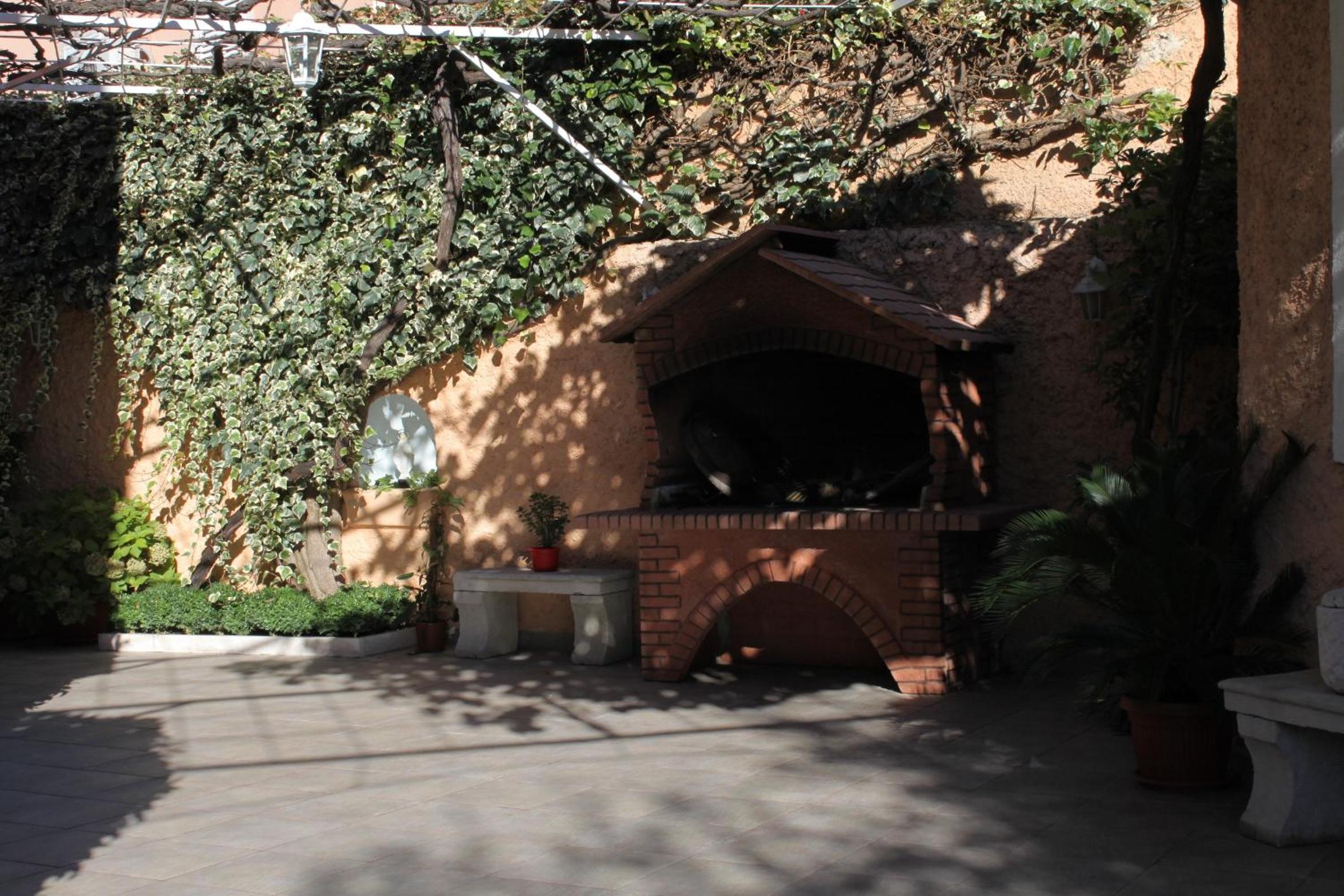 Photo 7