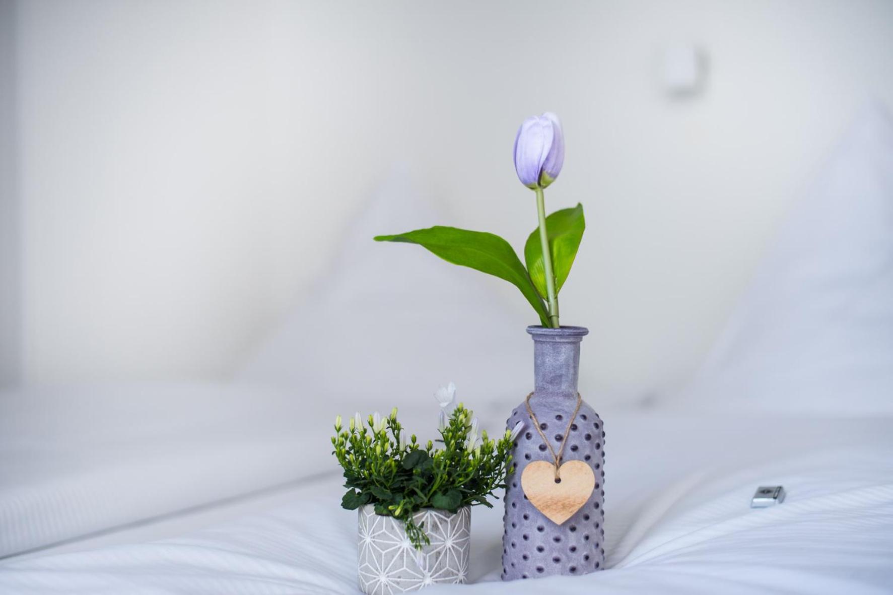 SOVA Guesthouse