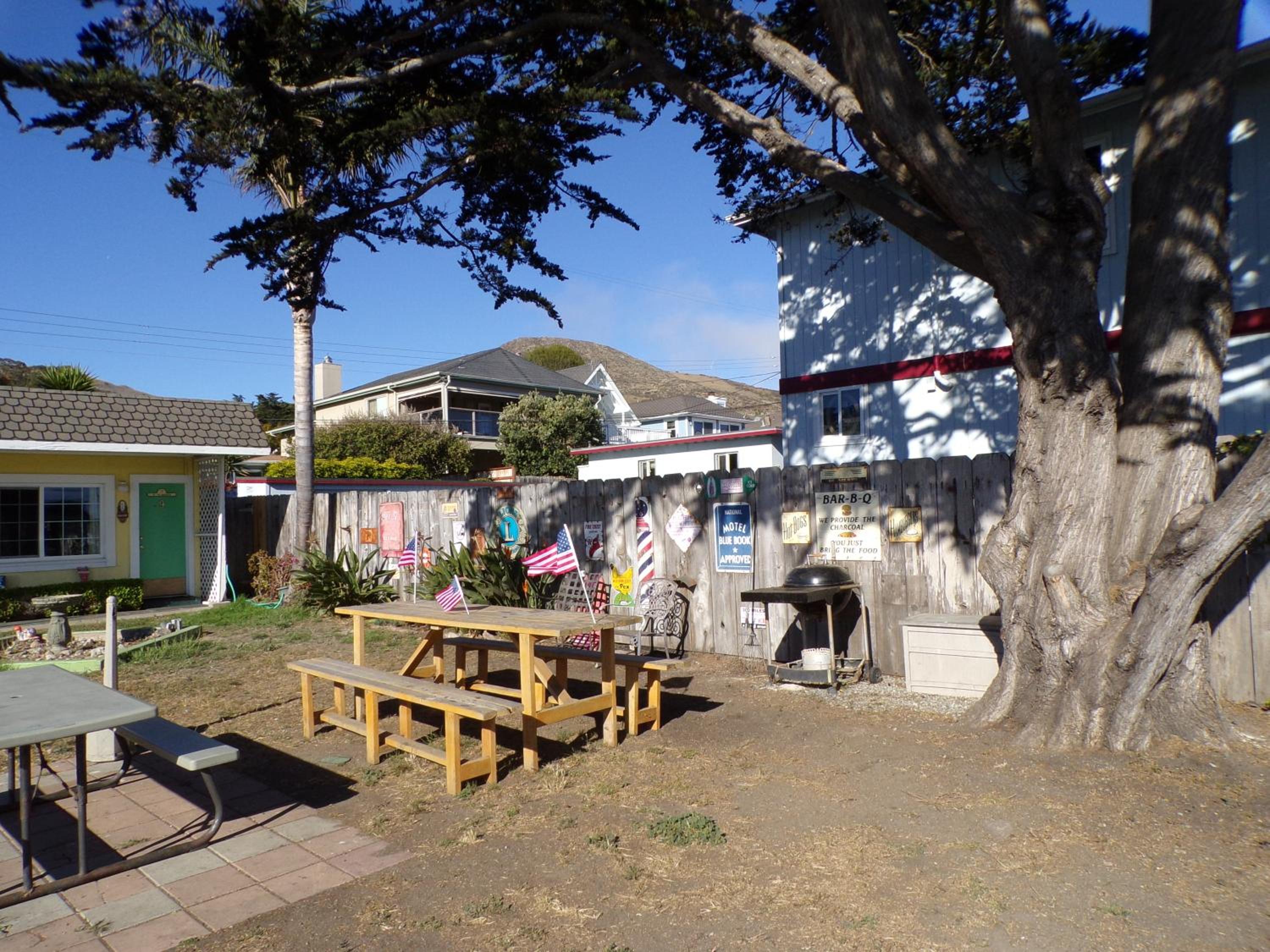 Cypress Tree Motel view 5