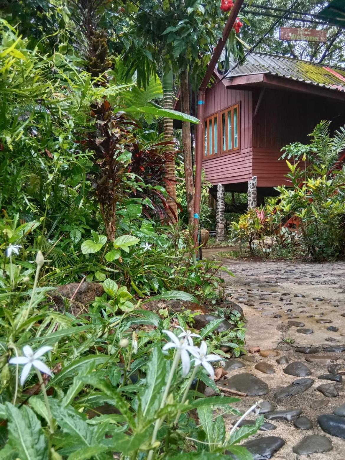 Tree Tops River Huts