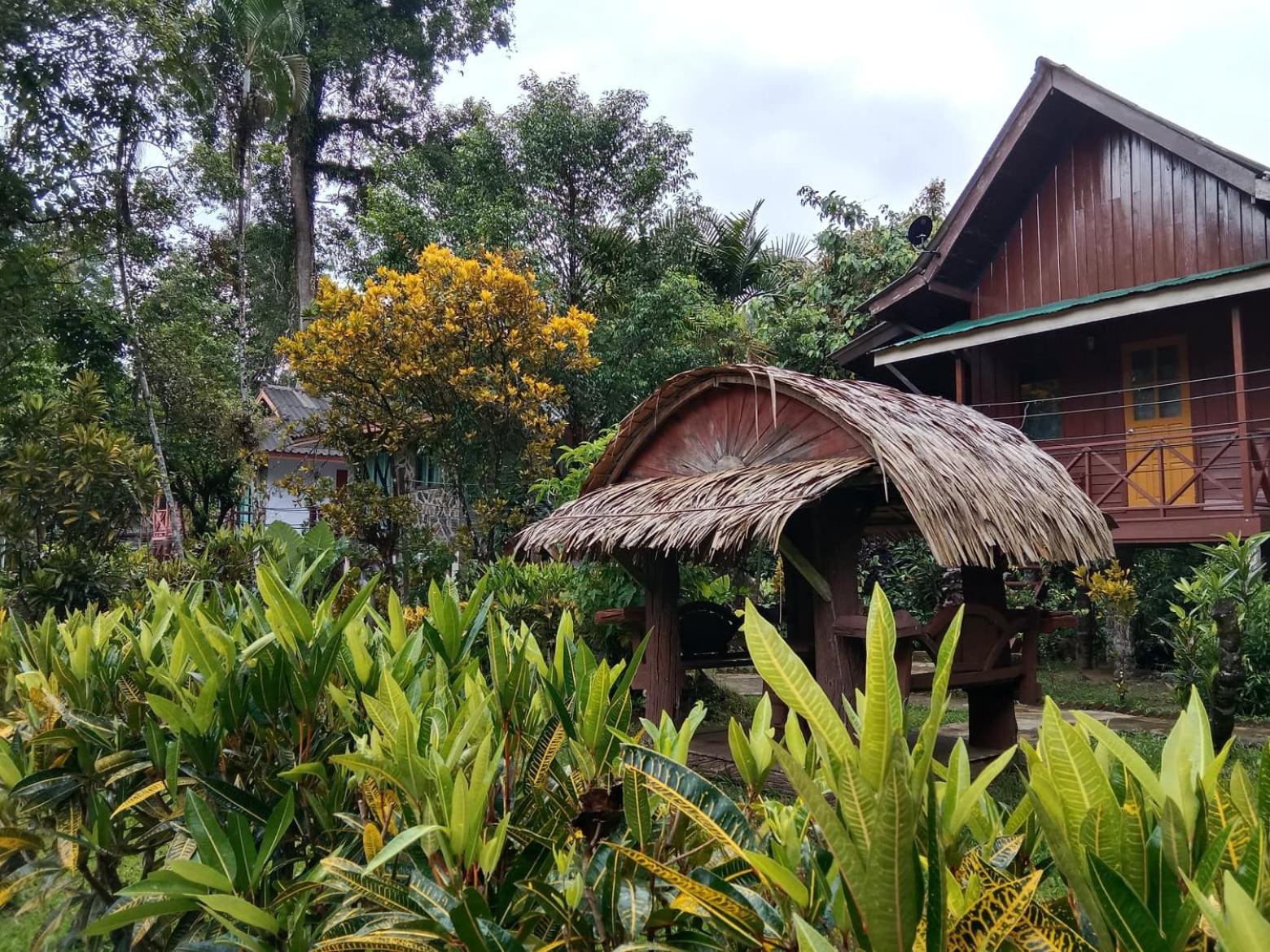 Tree Tops River Huts