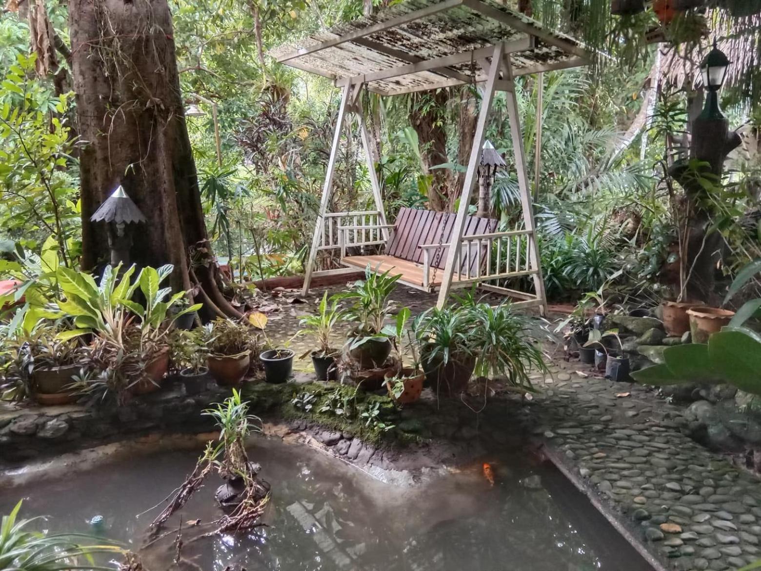 Tree Tops River Huts