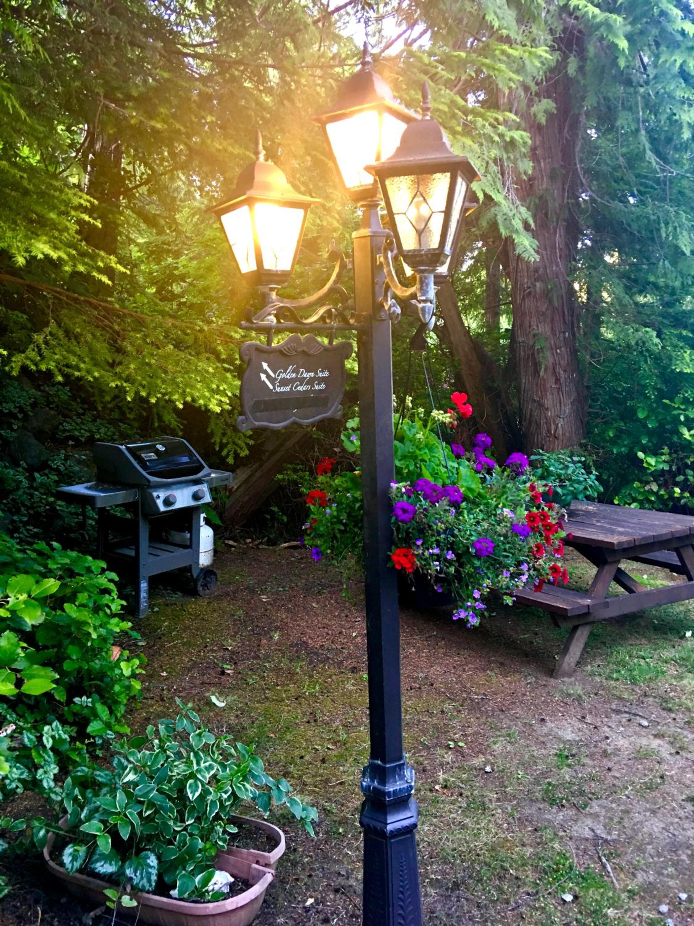 Tofino Vacations - Cobble Wood and Bird Sanctuary Guest Houses - Property Image 98