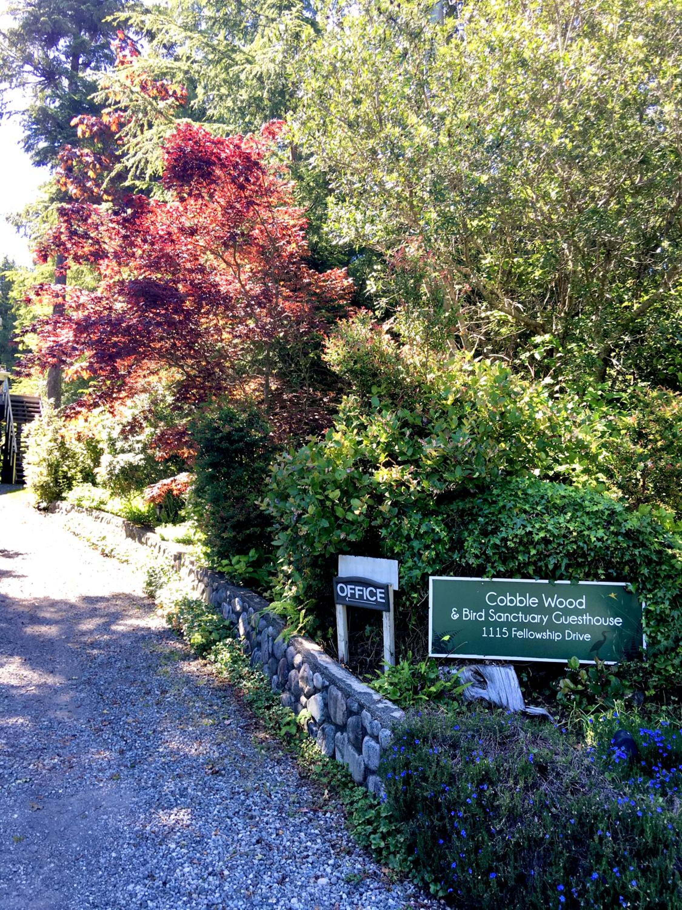 Tofino Vacations - Cobble Wood and Bird Sanctuary Guest Houses - Property Image 95