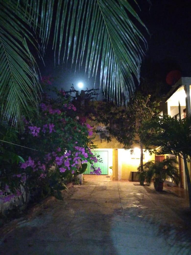 Casa de Playa Nativo
