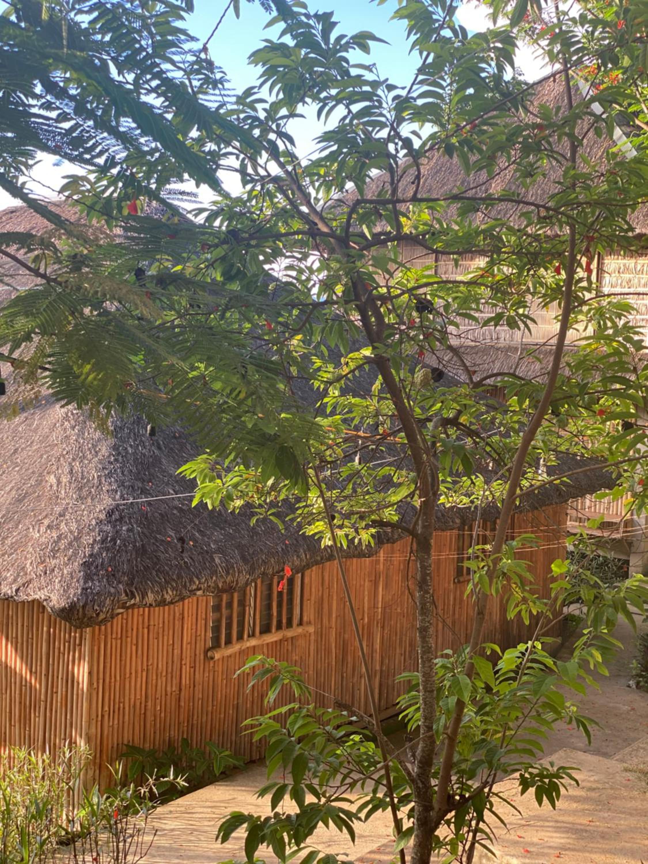 RUSTIQUE RUE Mabini - Hostel view 3